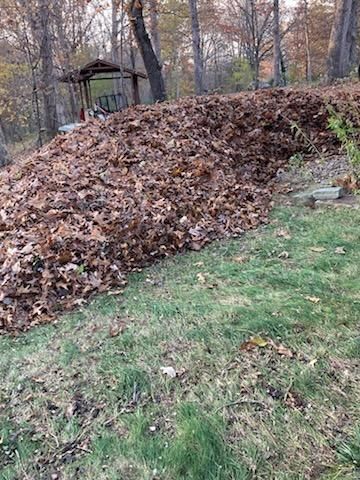  for Pureleaf Lawncare LLC in Springdale, AR