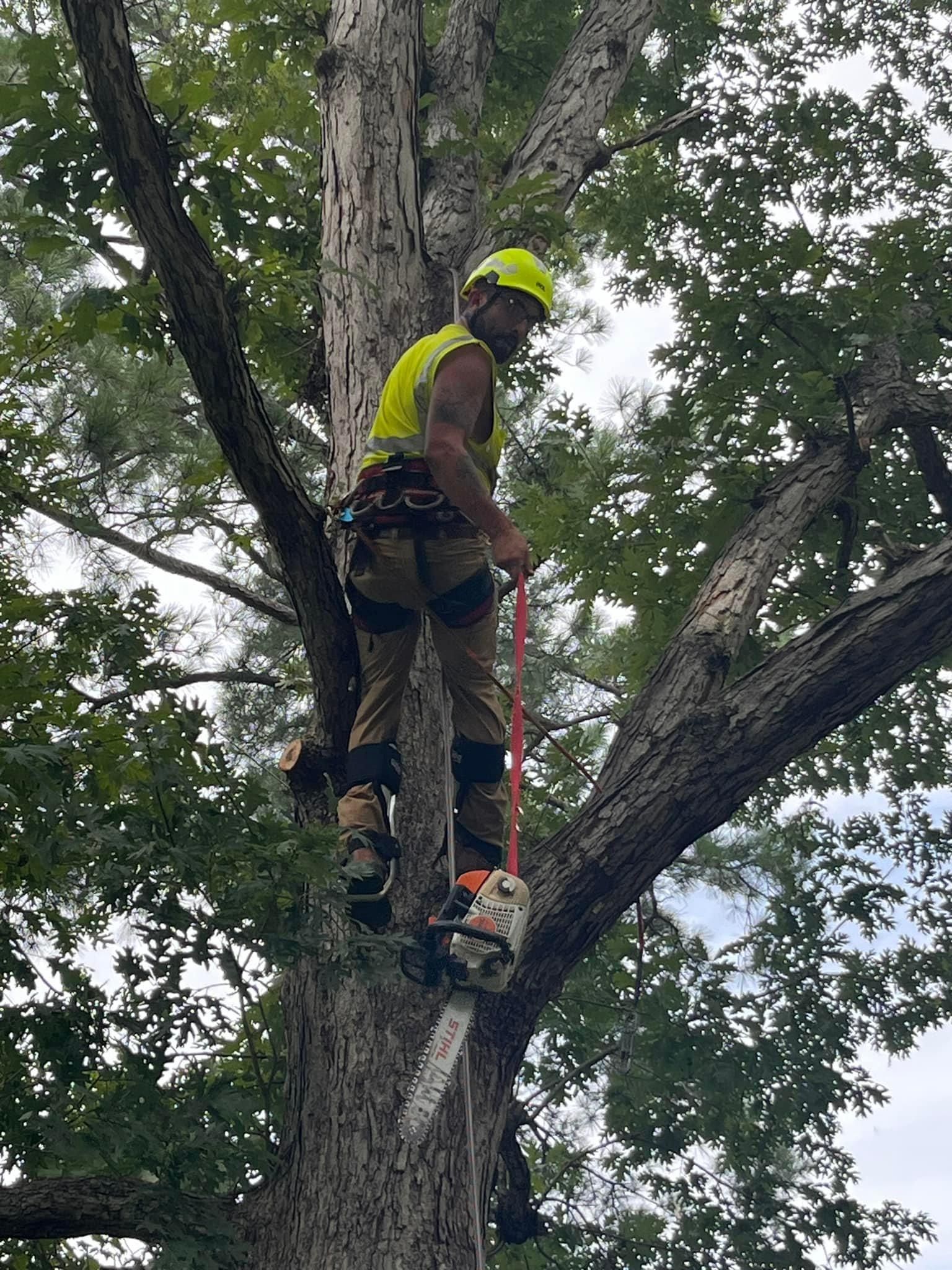  for Ricky's Tree Service & Property Care in Orange, VA