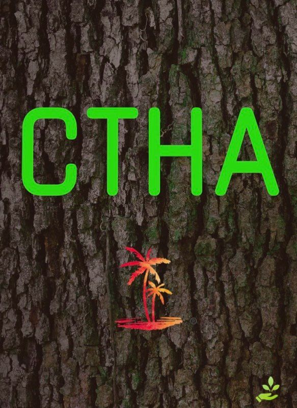  for CTHA Landscape in Phoenix, AZ