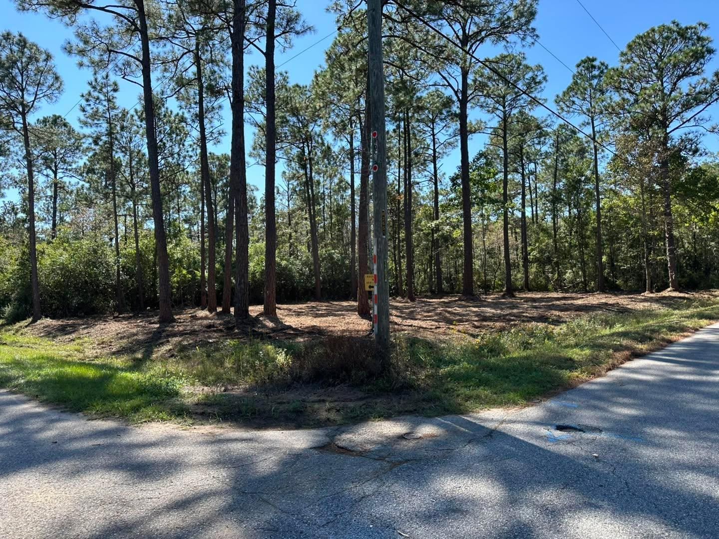  for White’s Land Maintenance in Milton,, FL