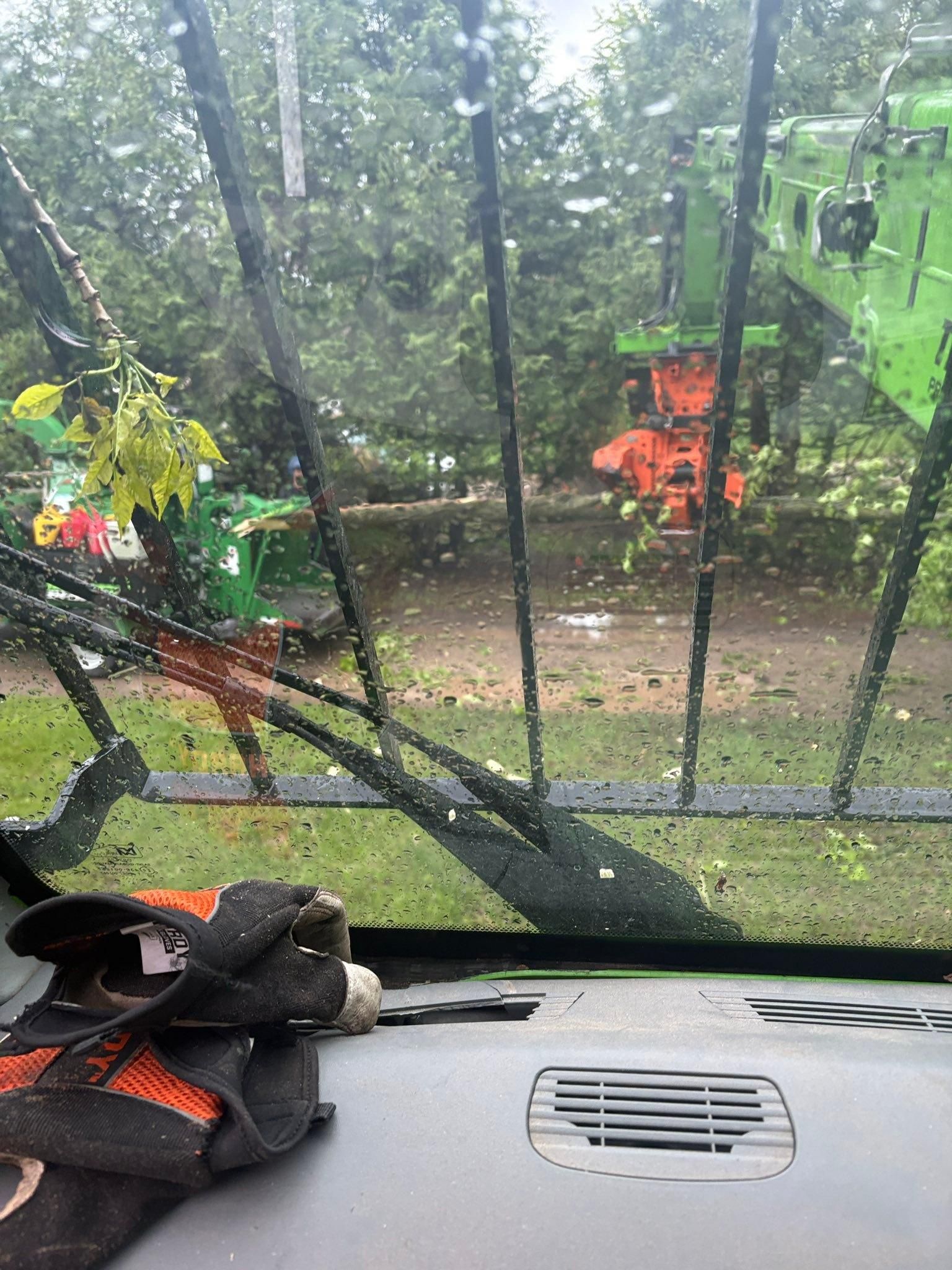  for Tree-B-Gone in Appleton, WI