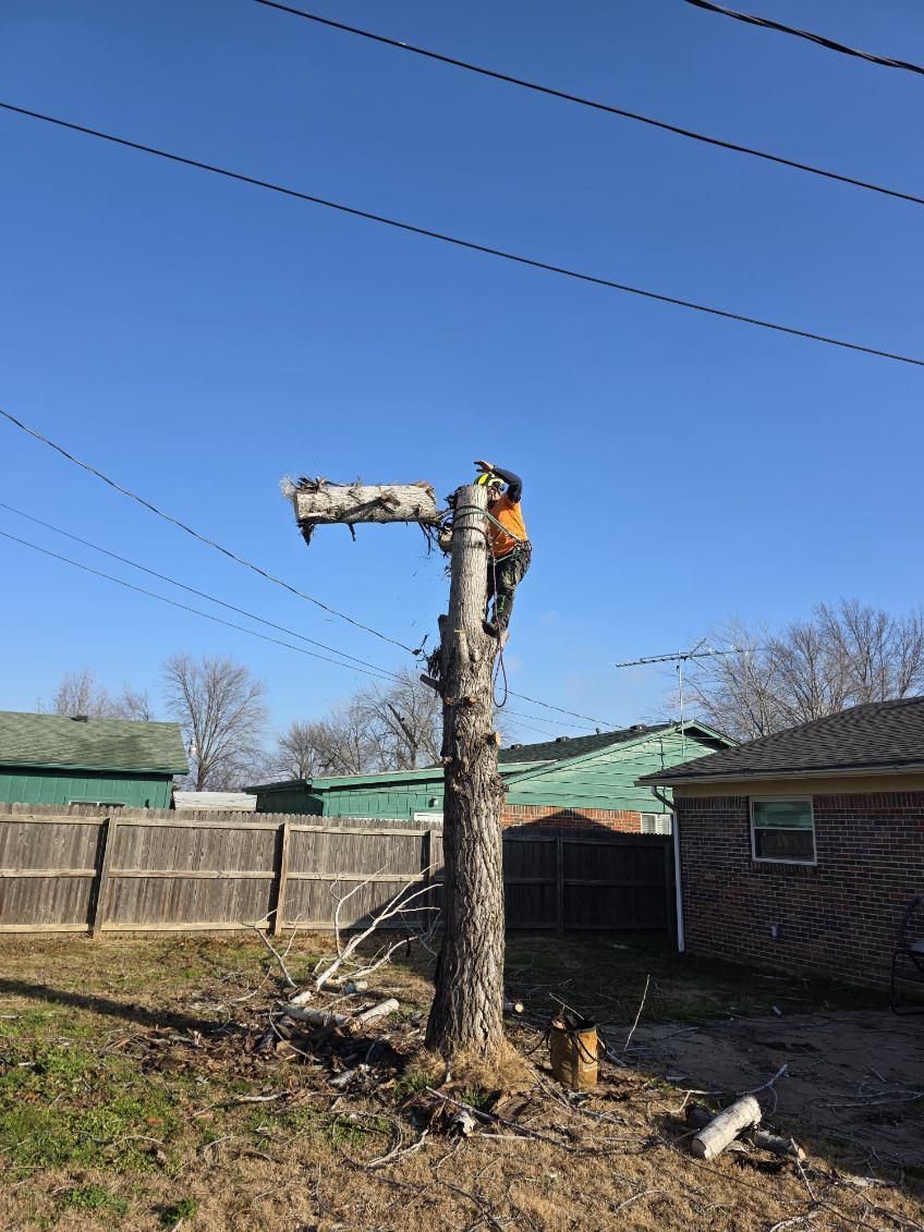  for Oklahoma Tree Guy in Bartlesville, OK