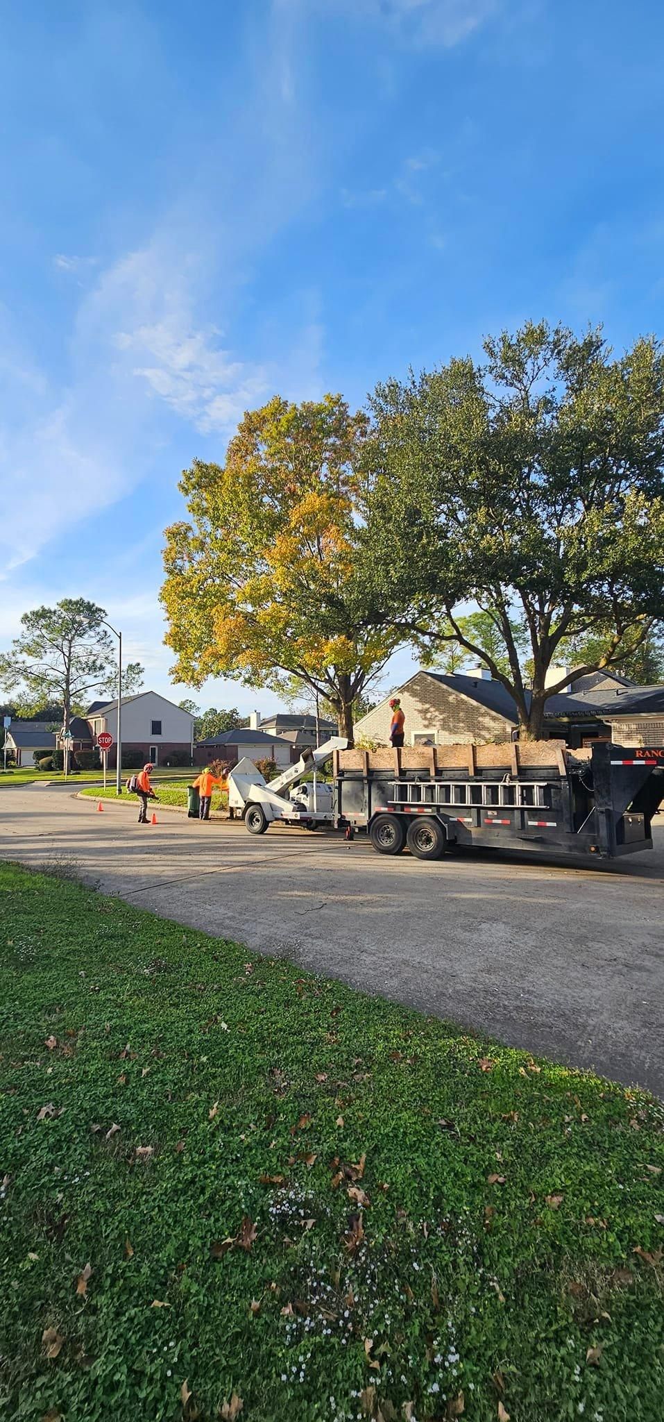  for Servin's Tree Care  in Houston, TX