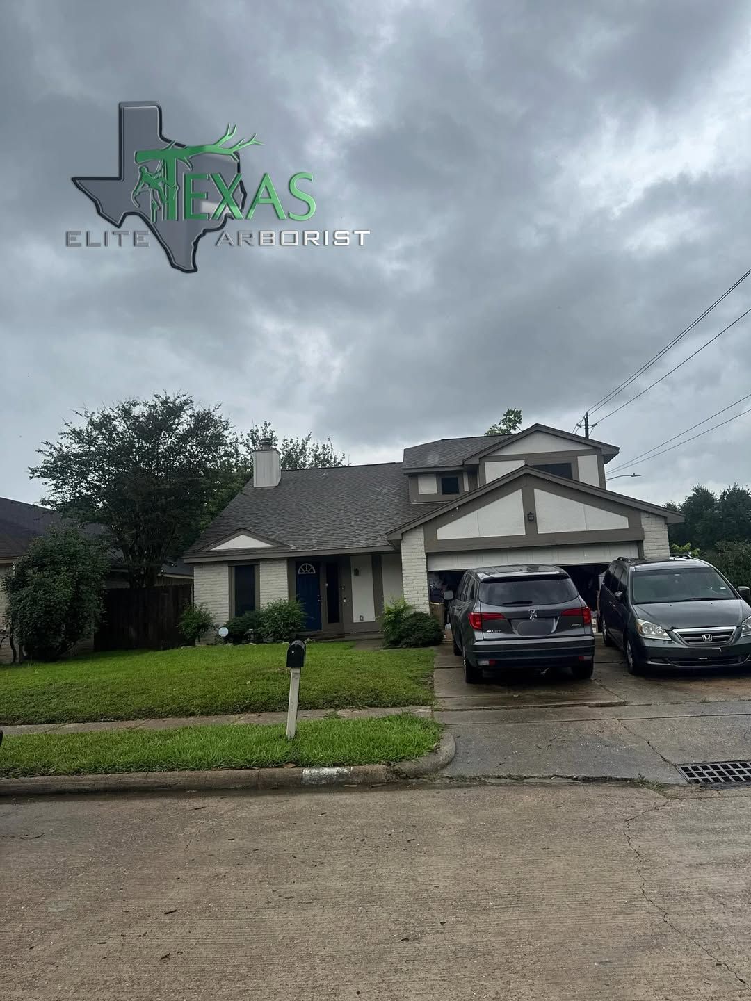  for Texas Elite Arborist in Houston, TX