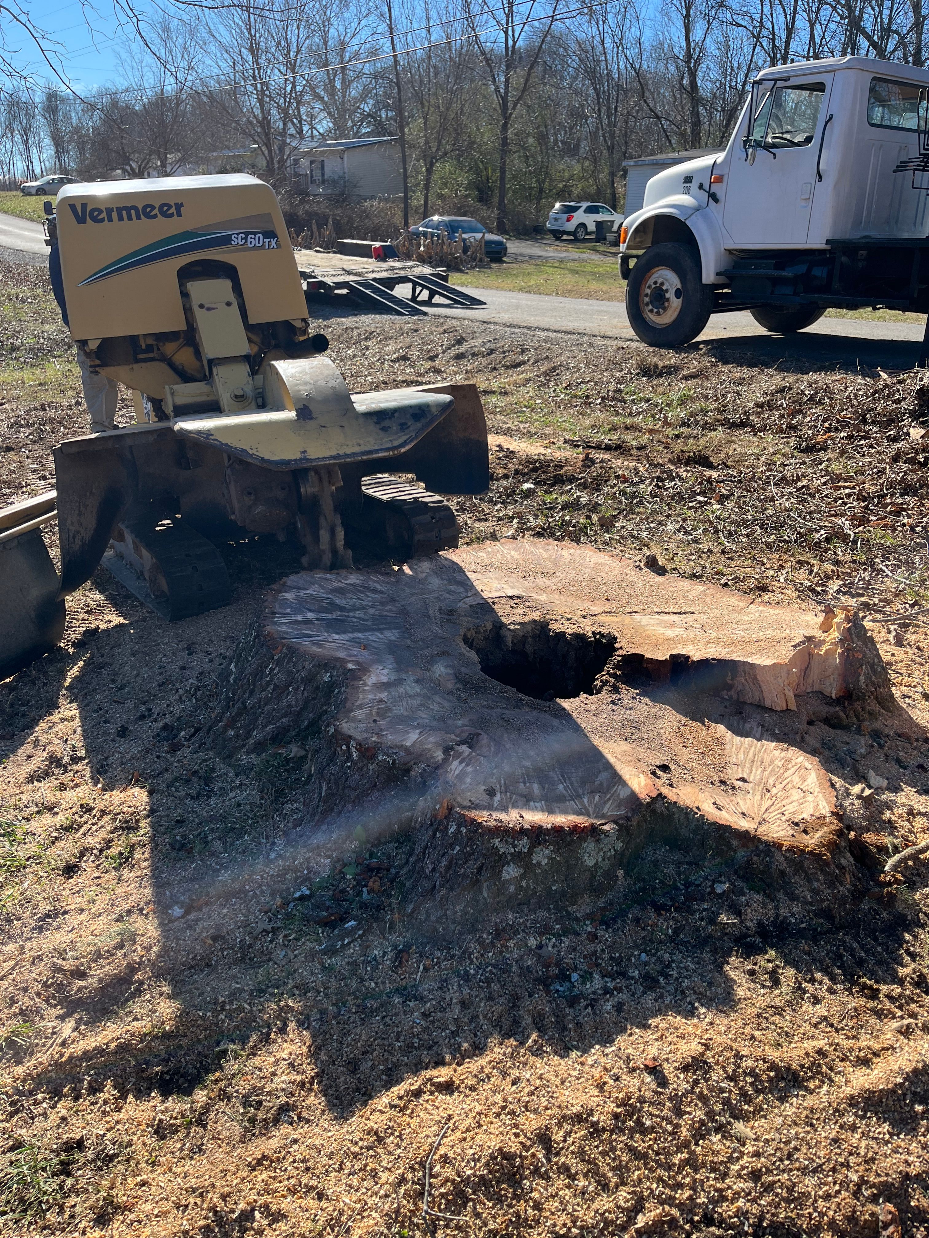  for T&T Lot Works in Kingston Springs, TN