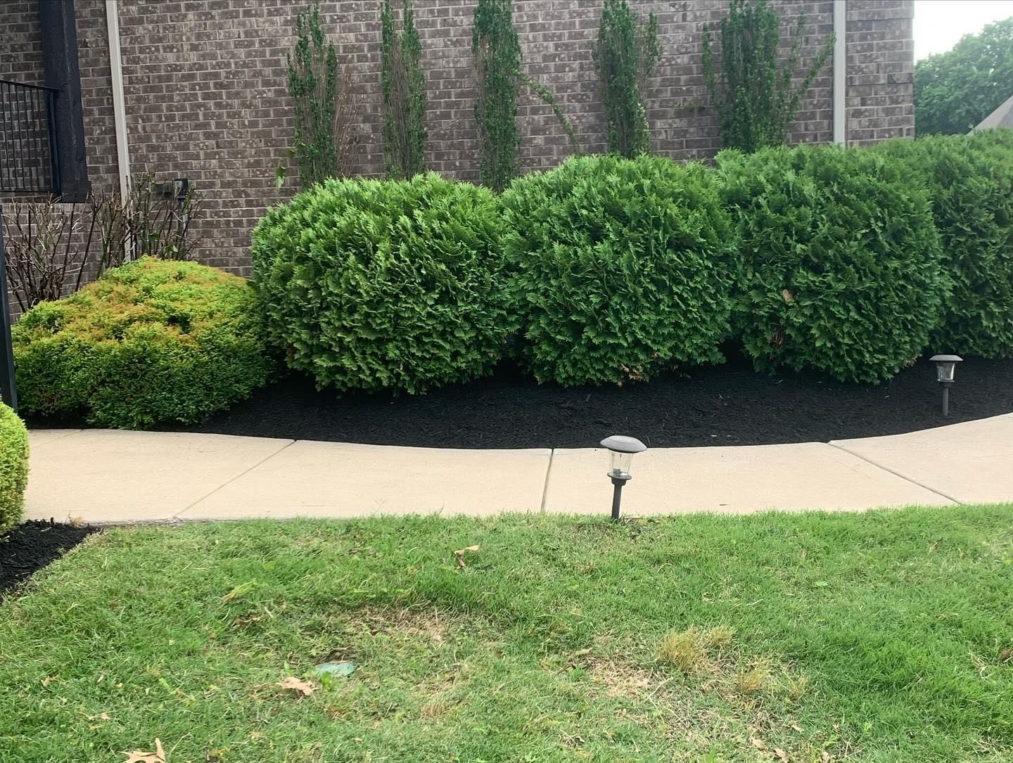  for The Right Price Right Choice Lawn Care Services in Murfreesboro, TN