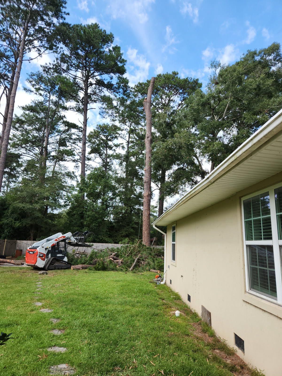 All Photos for Hawkins Tree Service & Land Management in Richmond Hill, GA