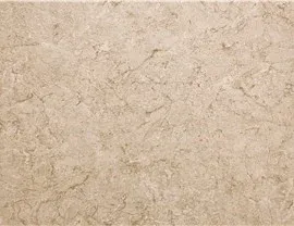 Bath Concepts - Brecchia/Sierra Sand for Scudder Built in Freeport, IL