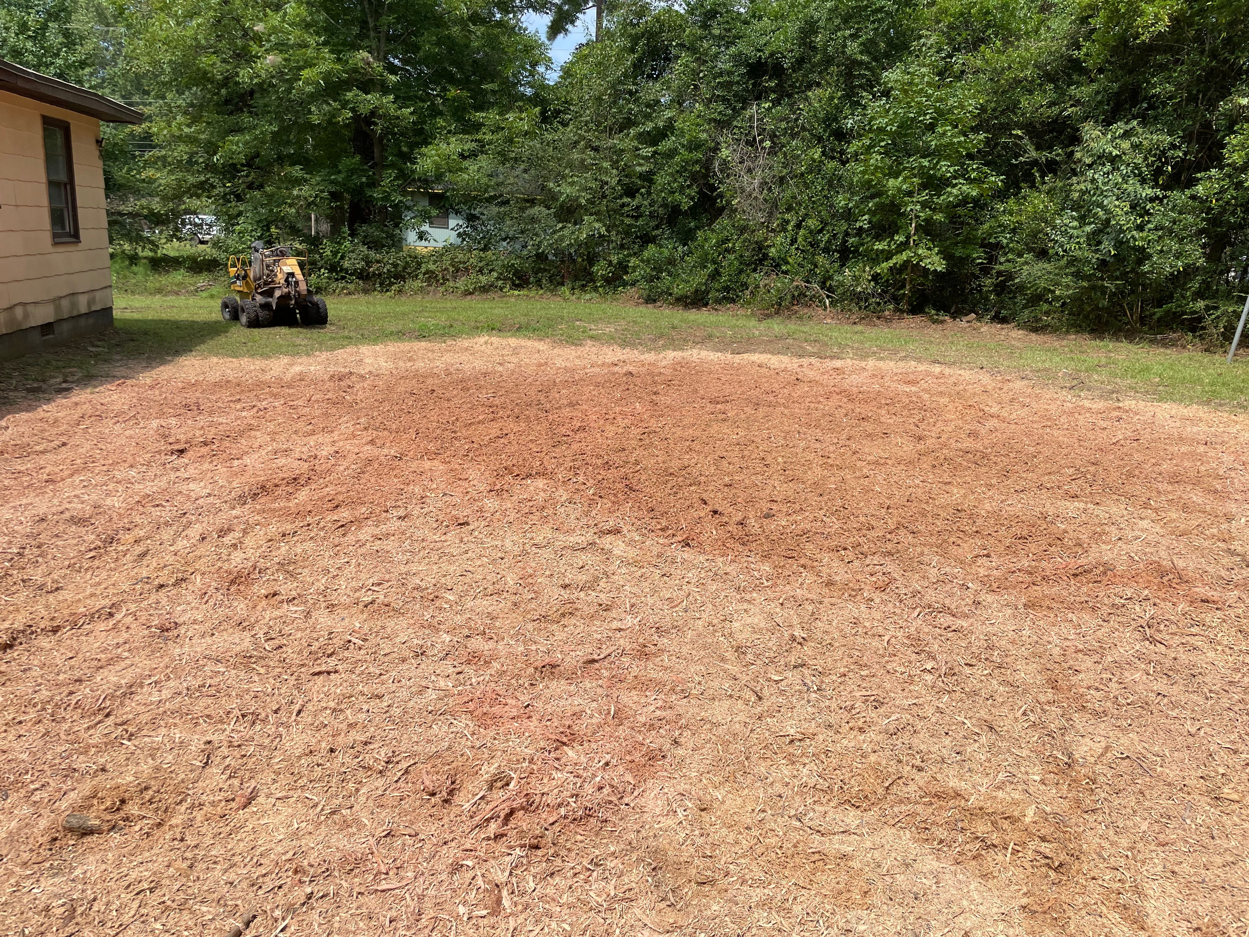 All Photos for MJB’s Stump Grinding LLC in Tennille, GA