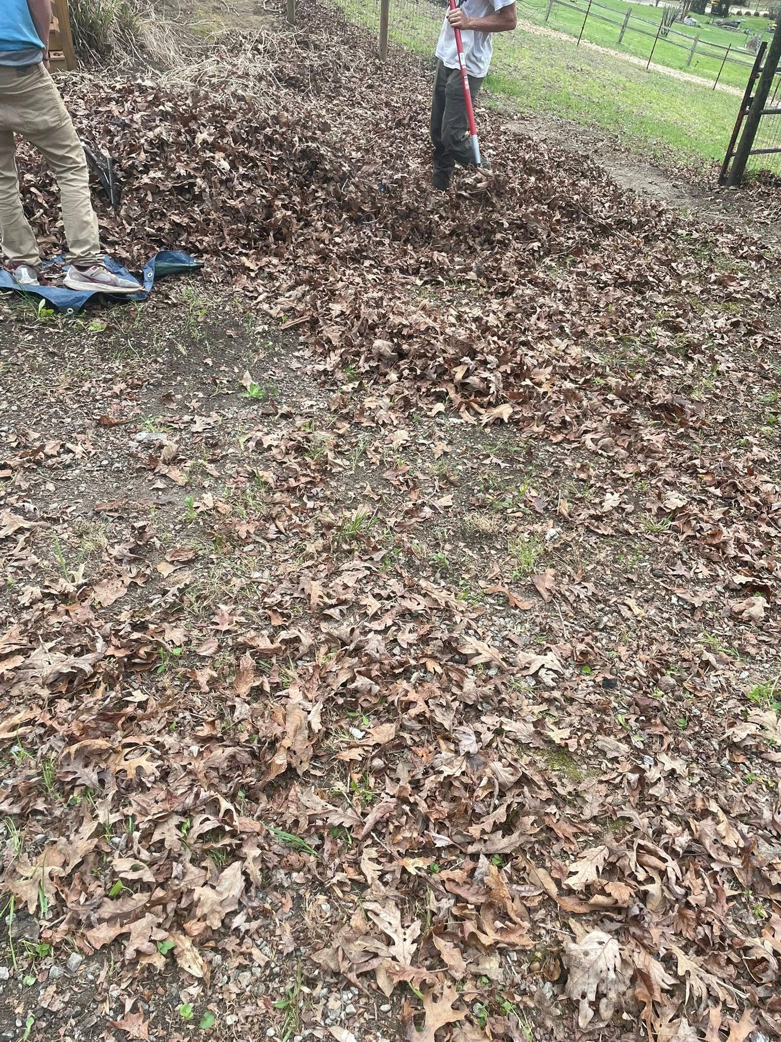  for Countryside lawn pros in Upstate, SC