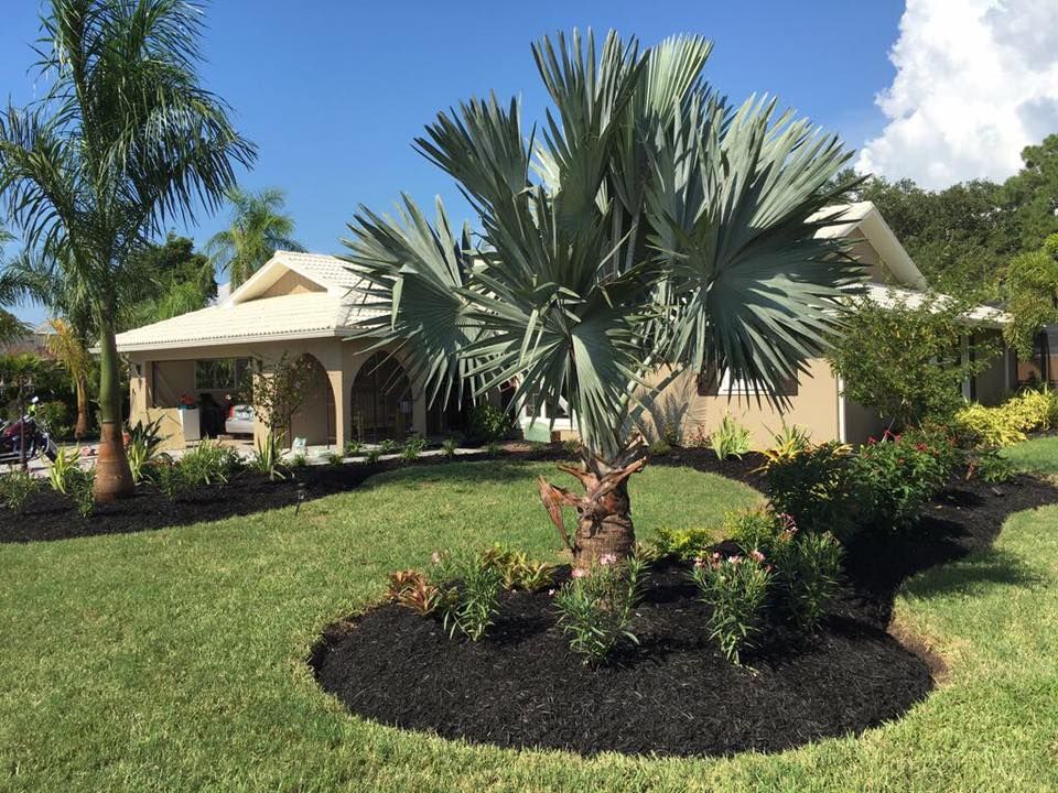  for Plant World LLC in Cape Coral, FL