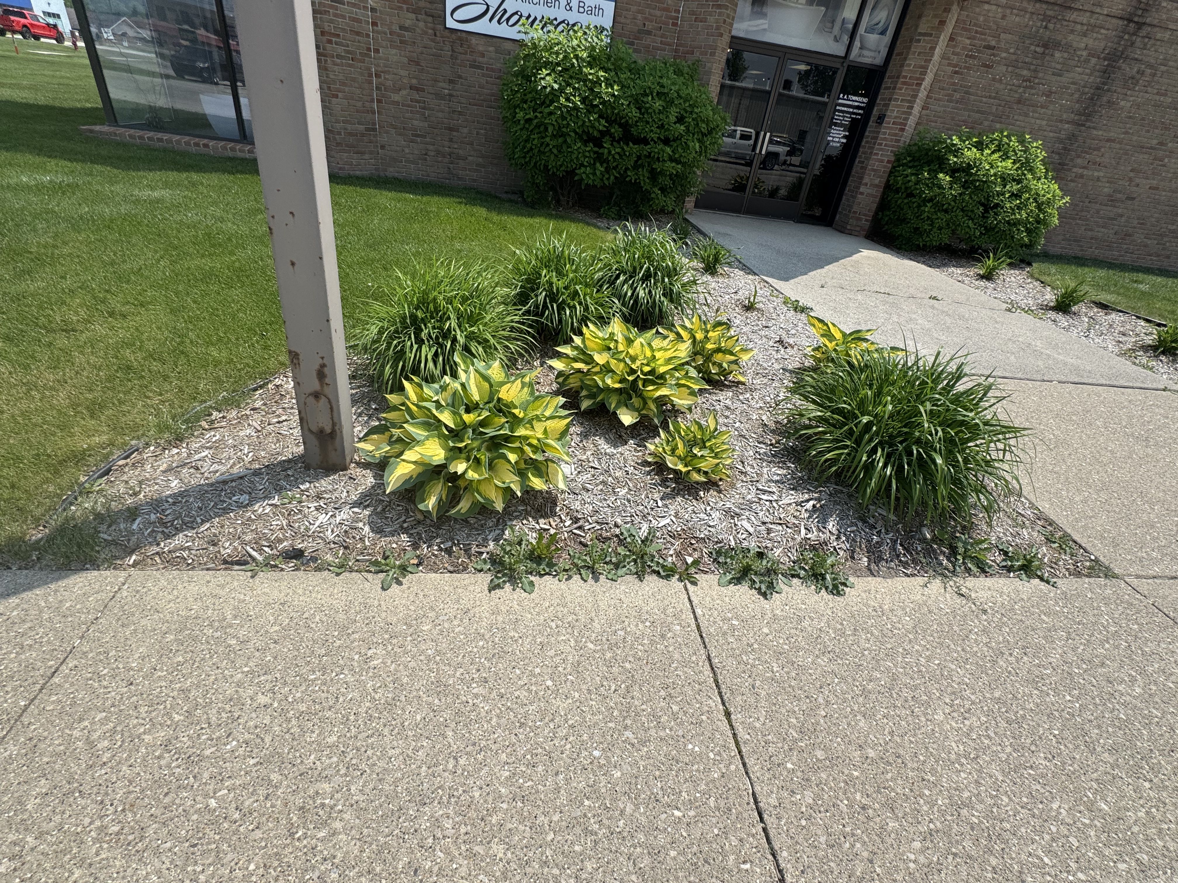  for Daugherty's Tough Lawn Care in Essexville, MI