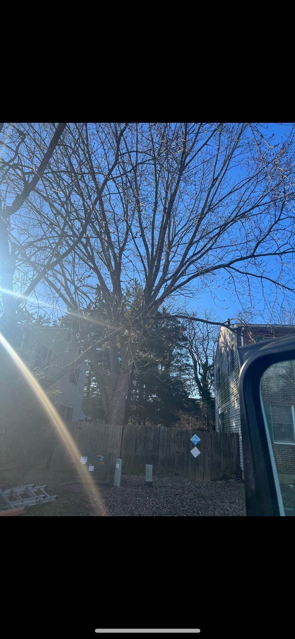  for Loockerman's Tree and Stump Removal in Dover, DE