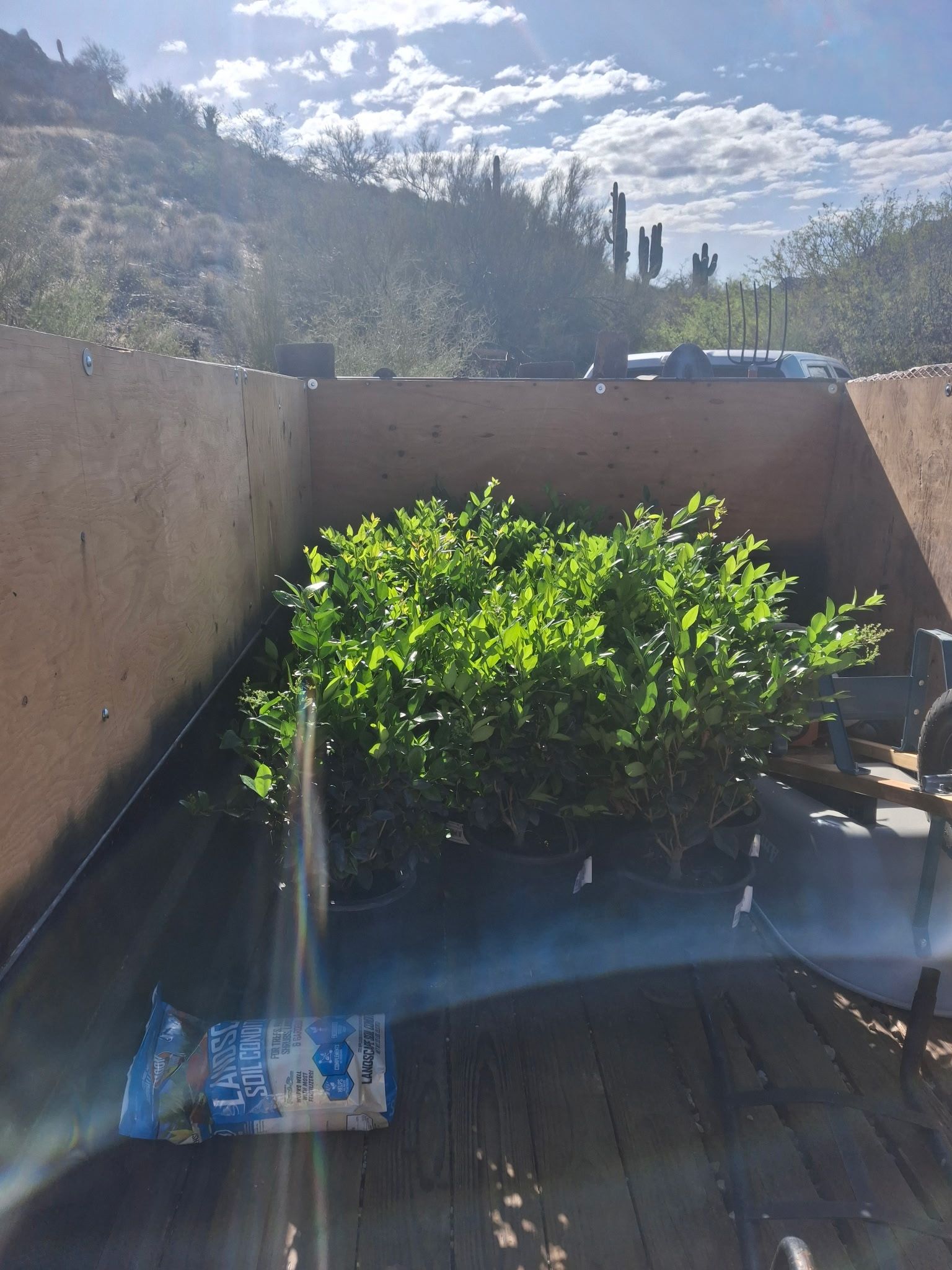  for Family Landscaping in Phoenix, AZ