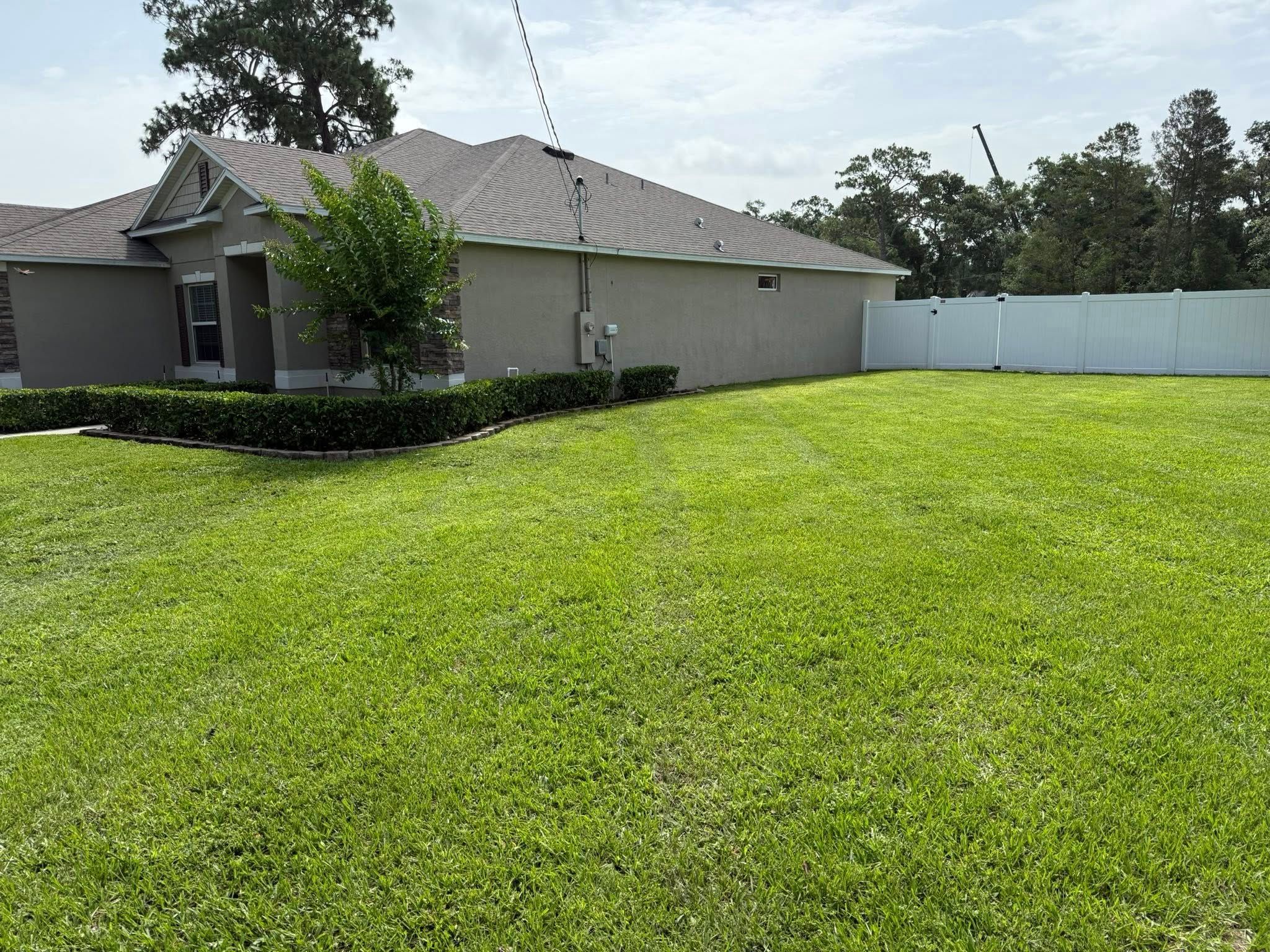  for Amerigrown Tree And Lawn in Apopka, FL