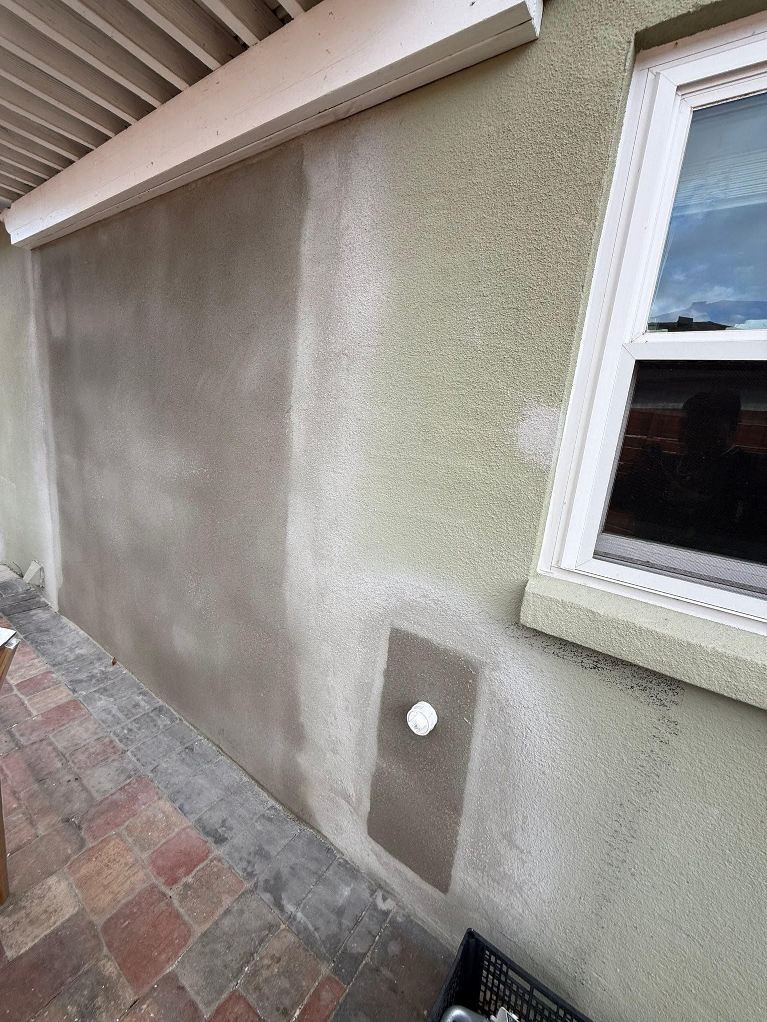  for Escorpio Painting in Tampa, FL