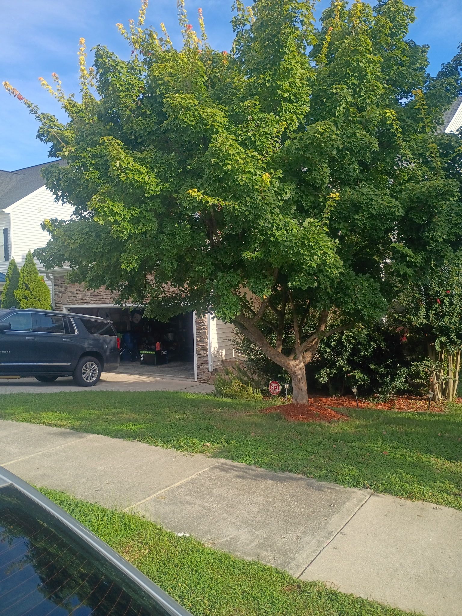  for Brothers On Point Lawn And Junk Removal in Wilson, NC