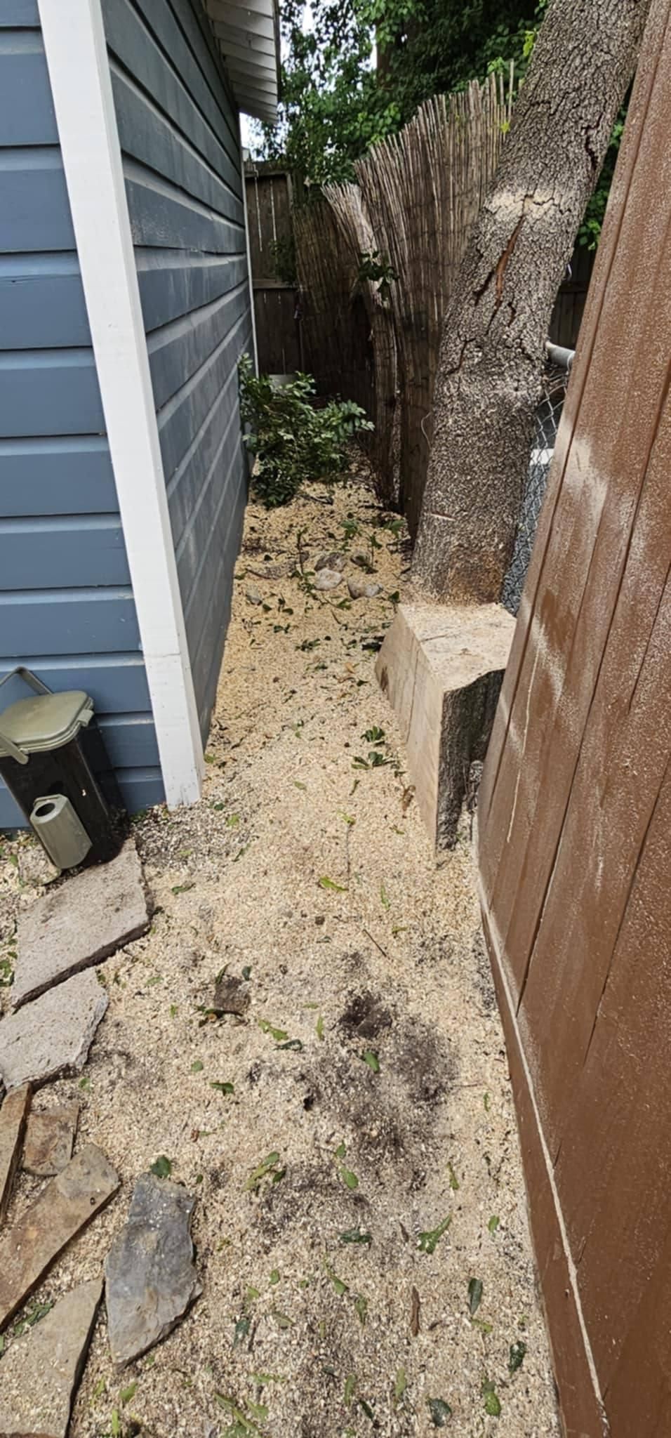  for Servin's Tree Care  in Houston, TX