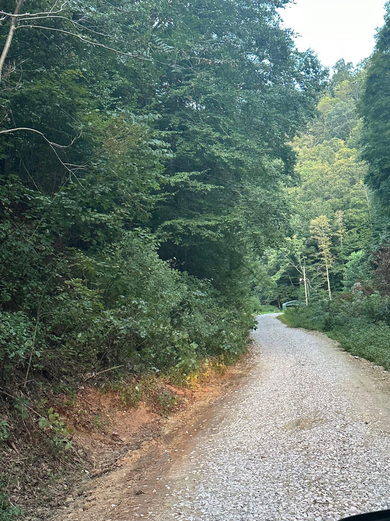  for Excavation Innovations in Rogersville, TN