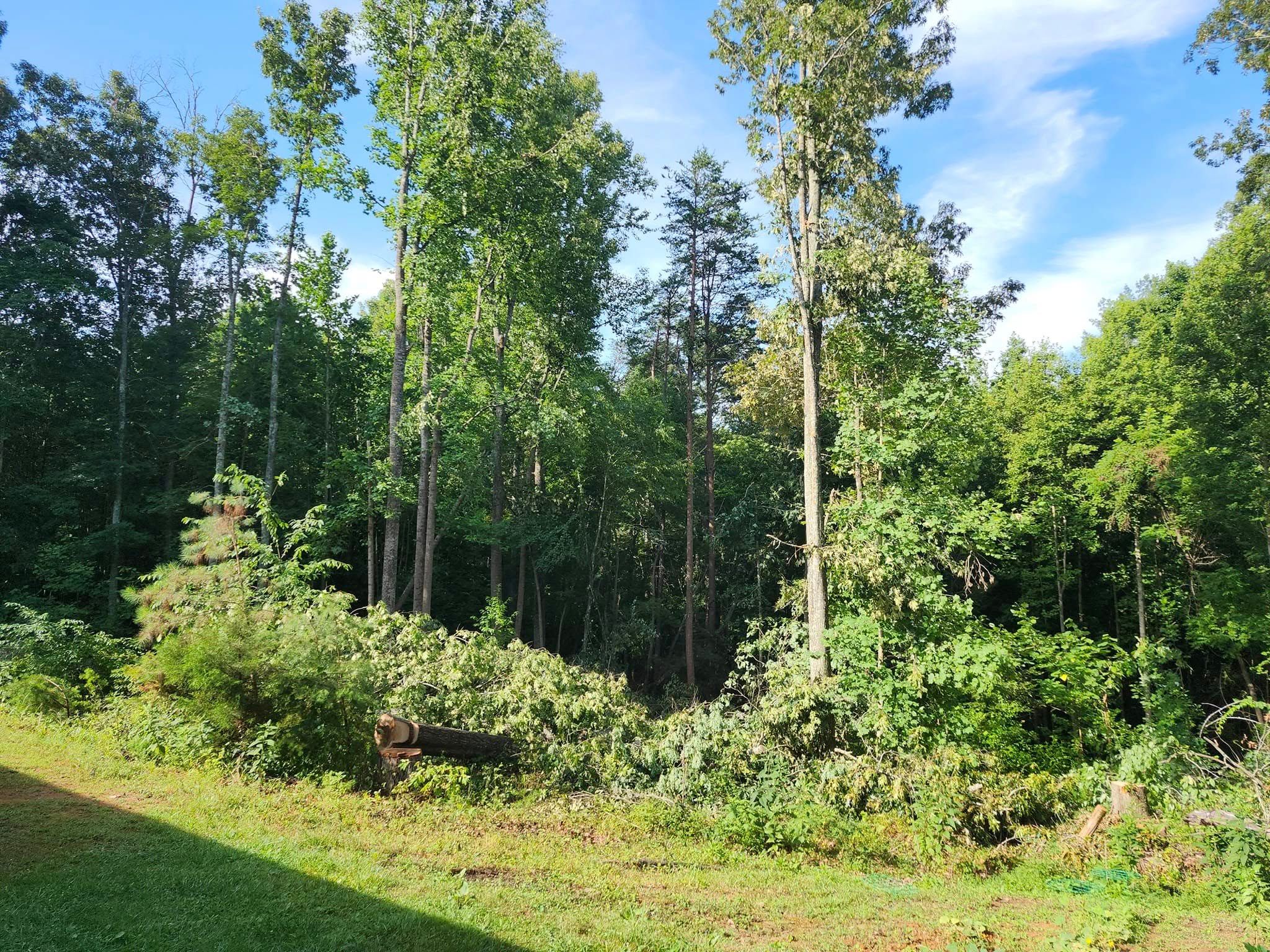 for Red Roosters Tree Services in Bedford, VA