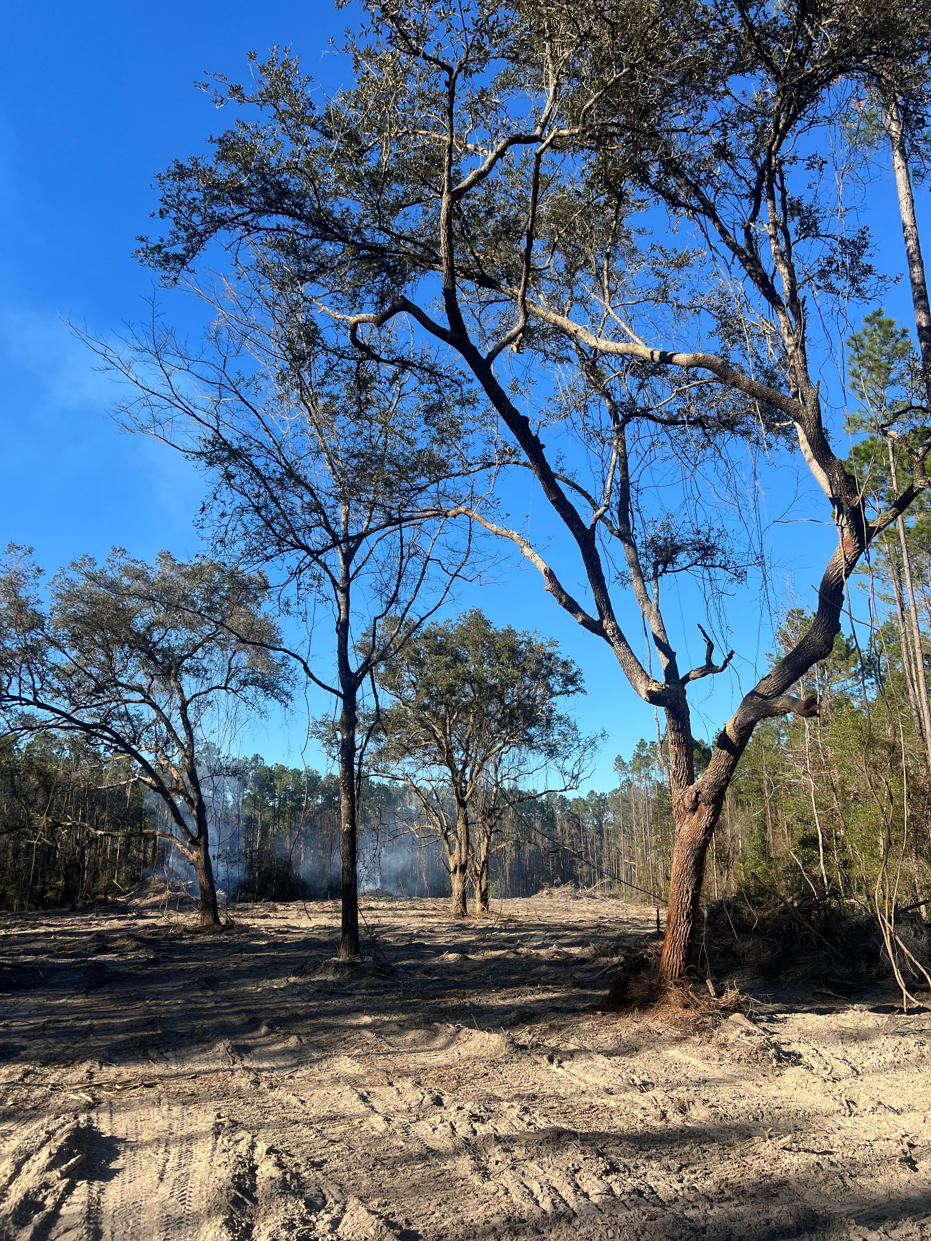  for Bay Hill Development in Nahunta, GA