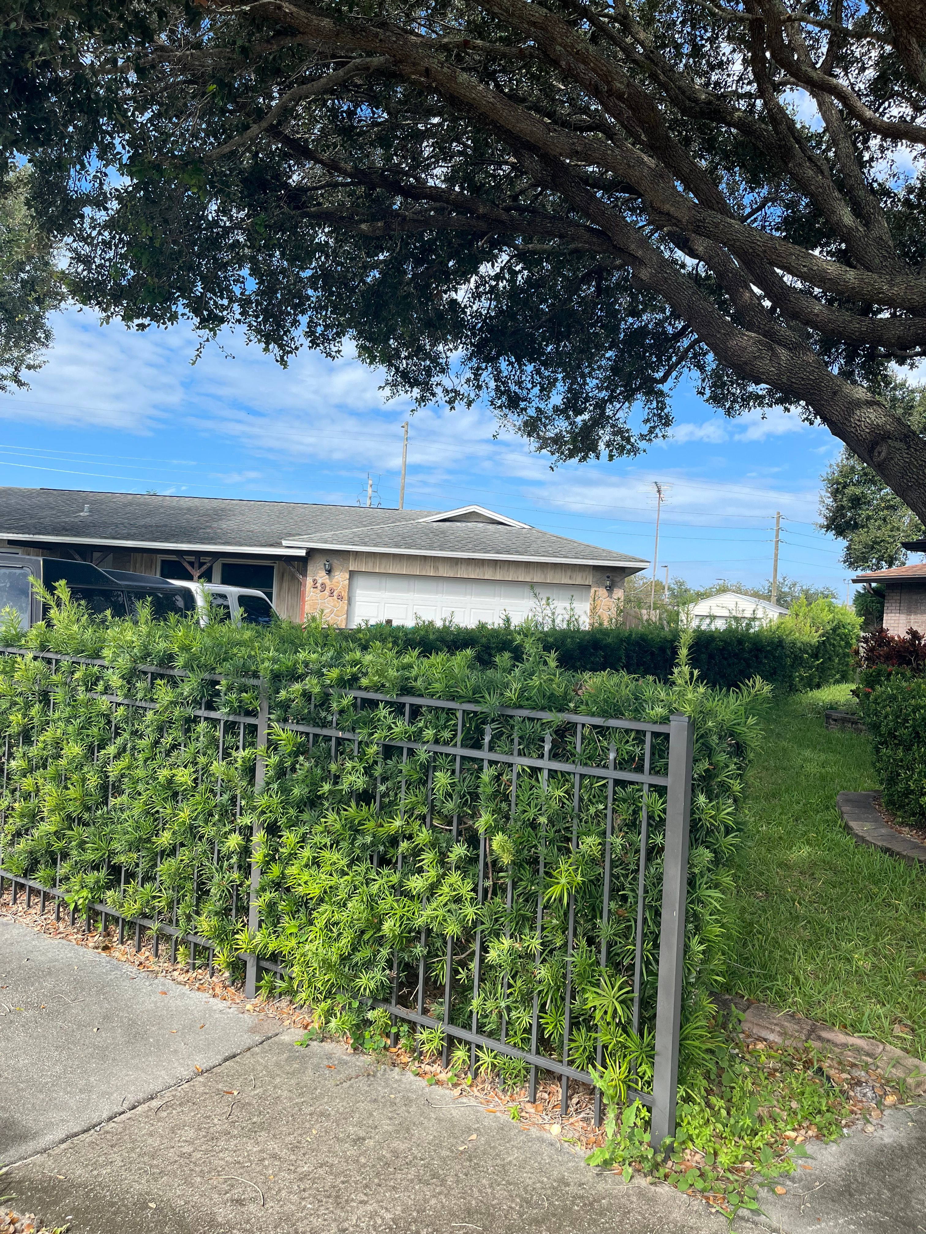  for Space Coast Property Maintenance and Management LLC in Melbourne, FL