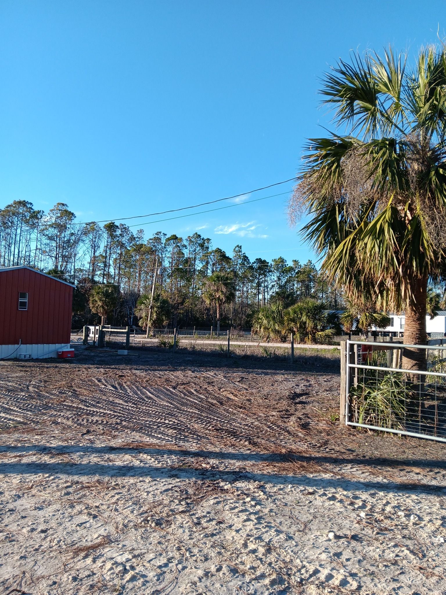 Tree Removal for Asbell's Tree & Land Services in Gilchrist County, FL