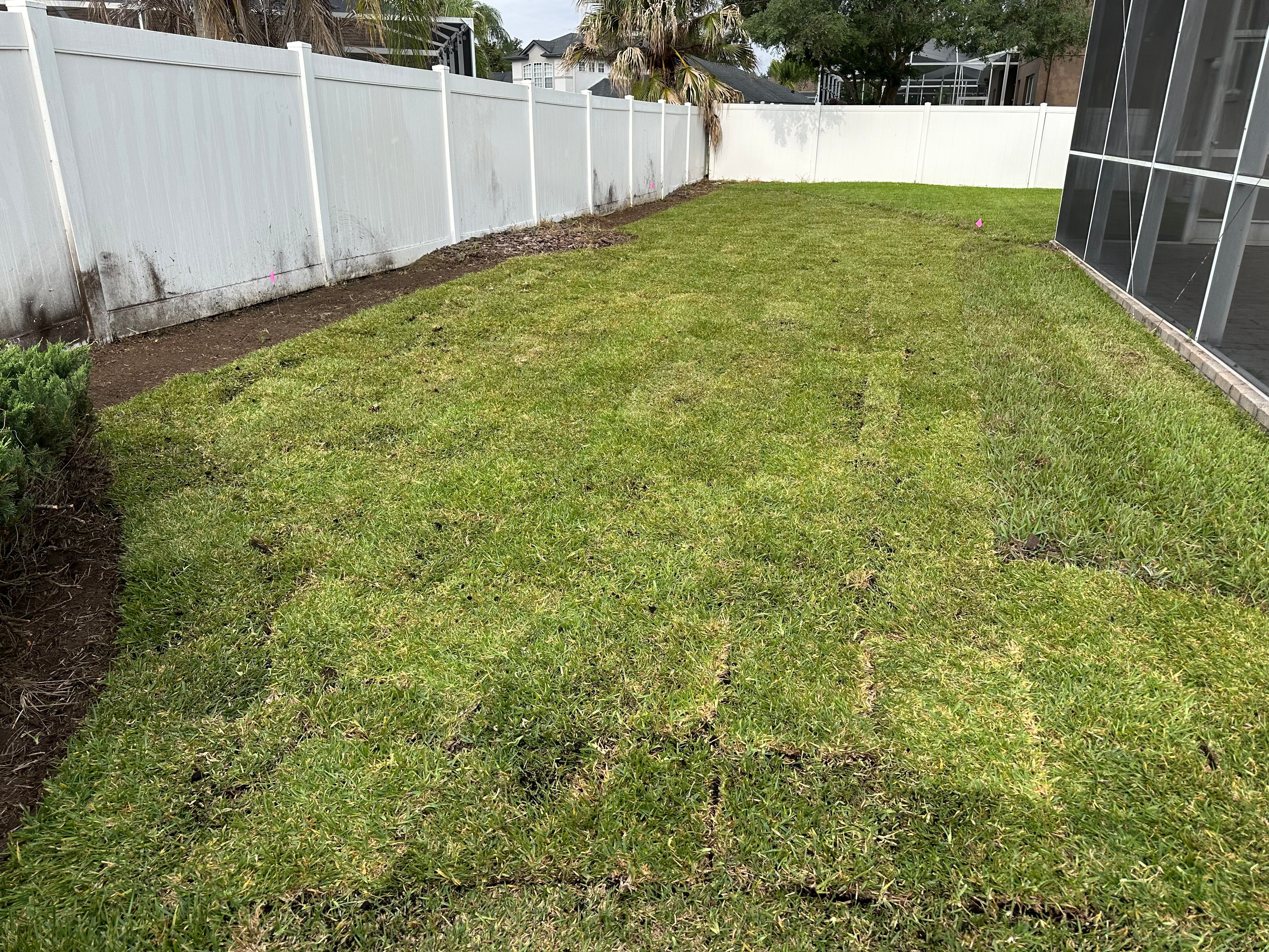  for Gulf Bay Sod in Clearwater, FL