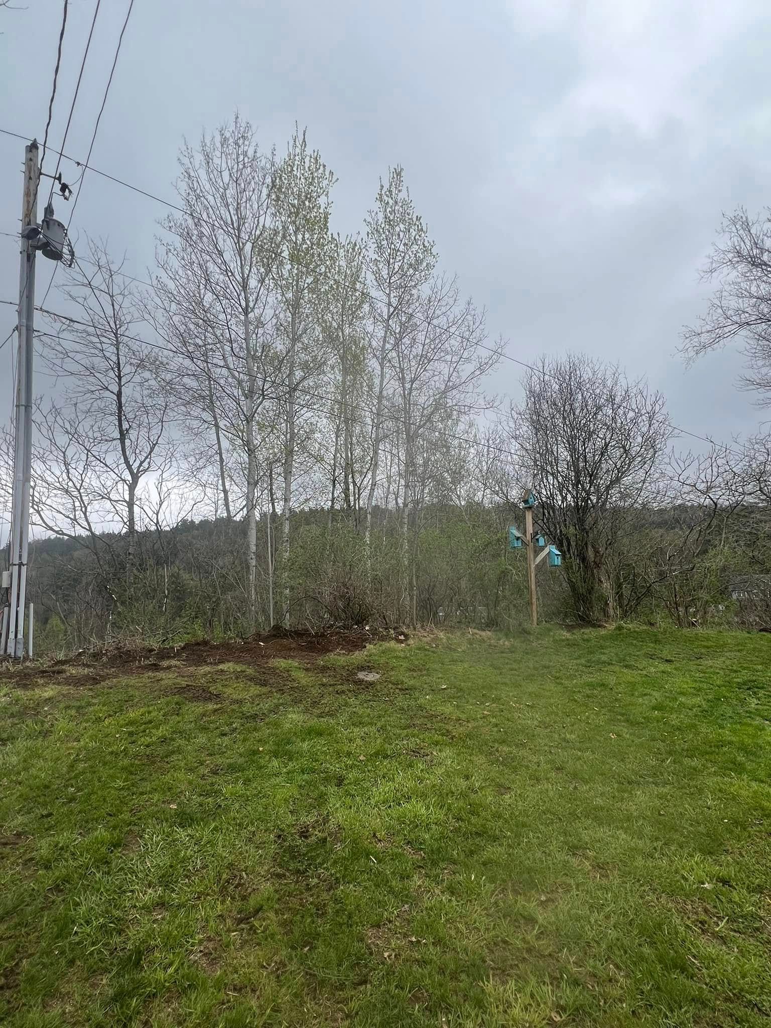 All Photos for Bishop’s Property Maintenance in Franklin, VT