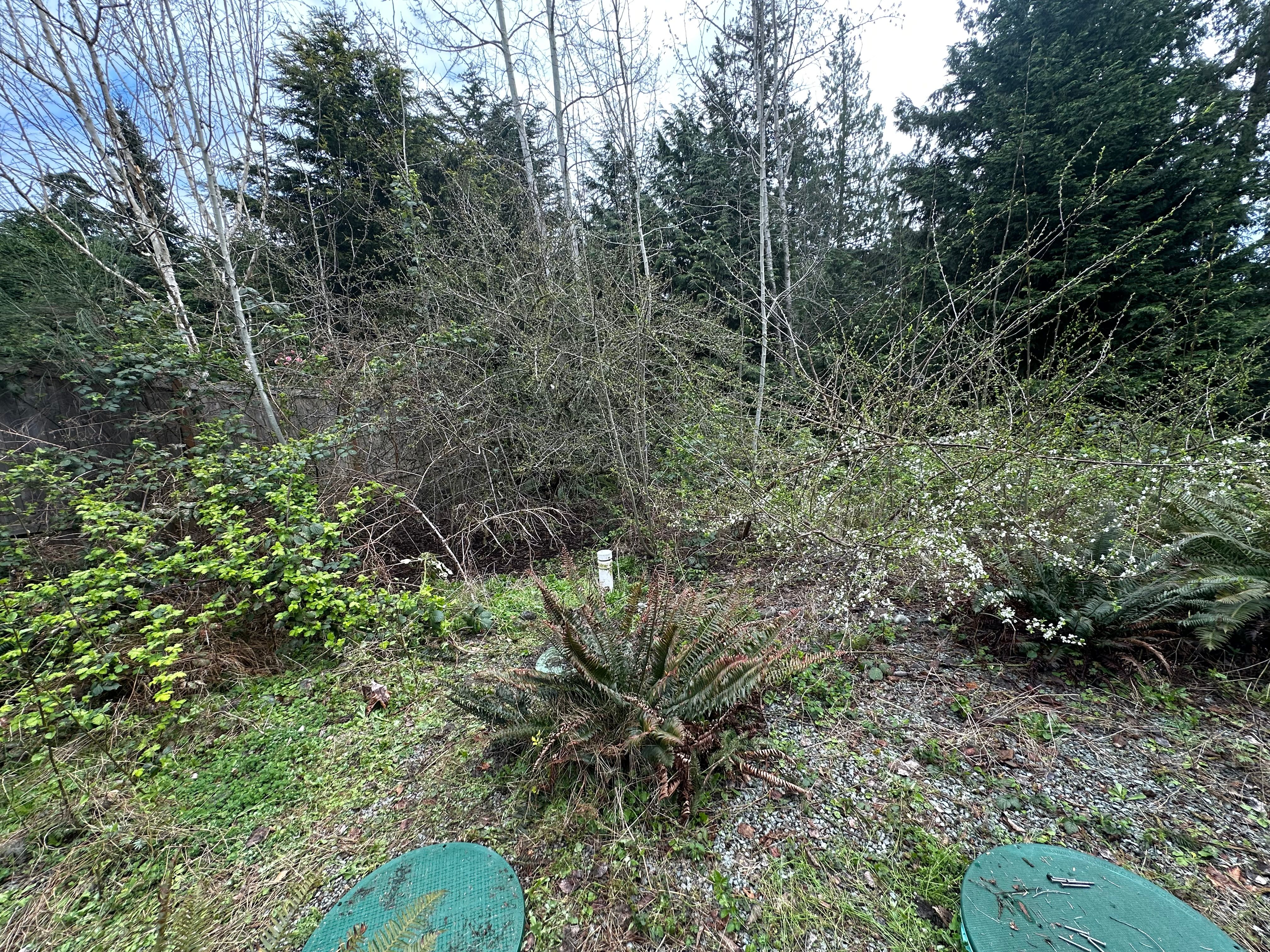  for AR Trucking & Excavation LLC in Stanwood, WA