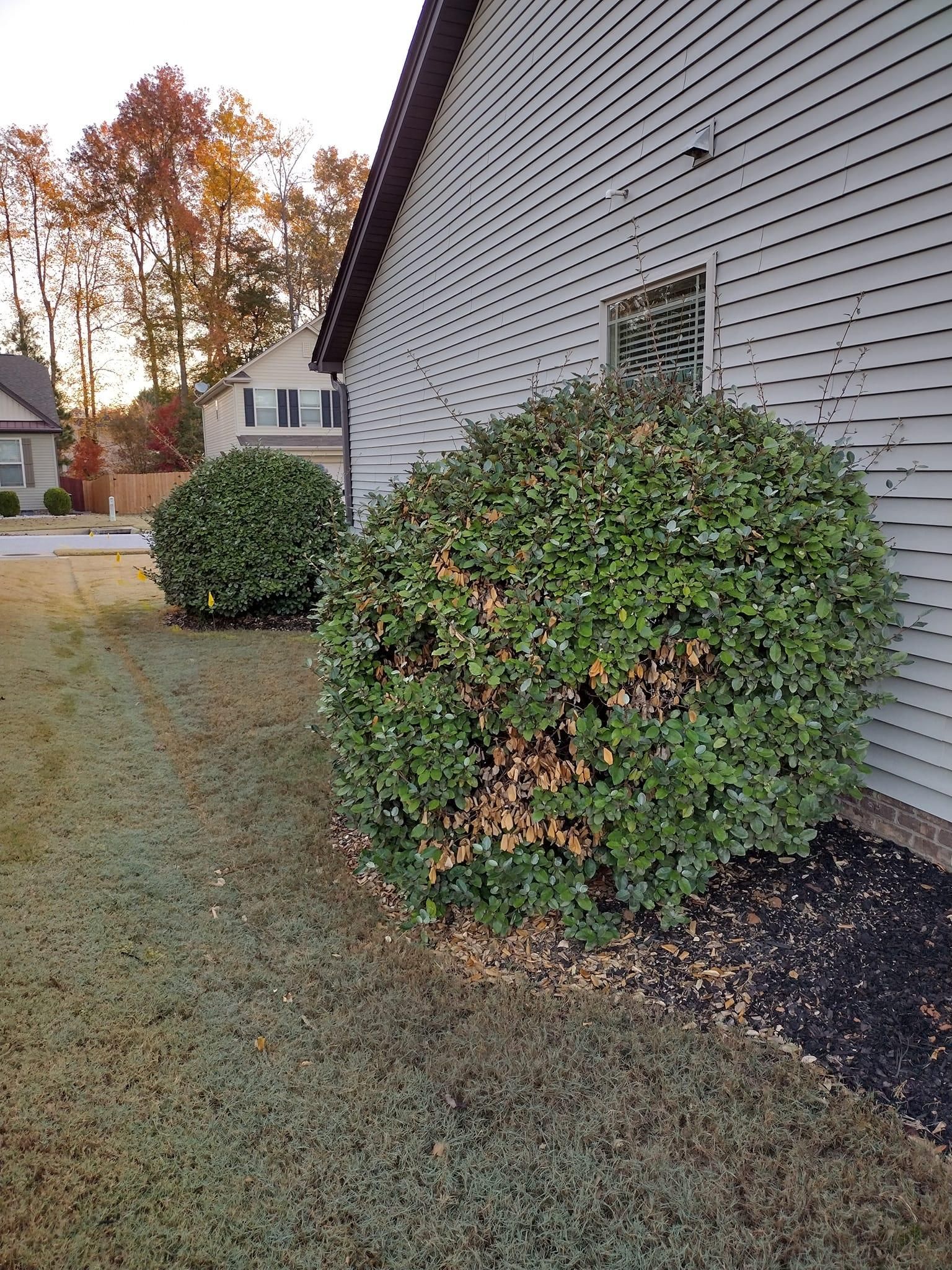  for Palmetto Cuts Lawn Care LLC in Simpsonville, SC