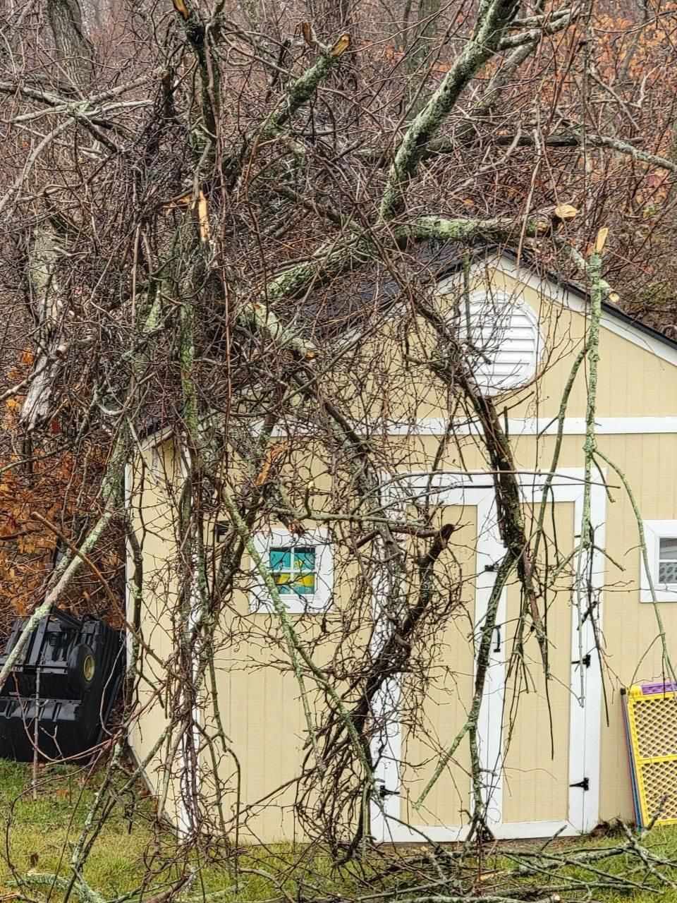  for Kingdom Tree Trimming and Removal LLC in Covington, KY