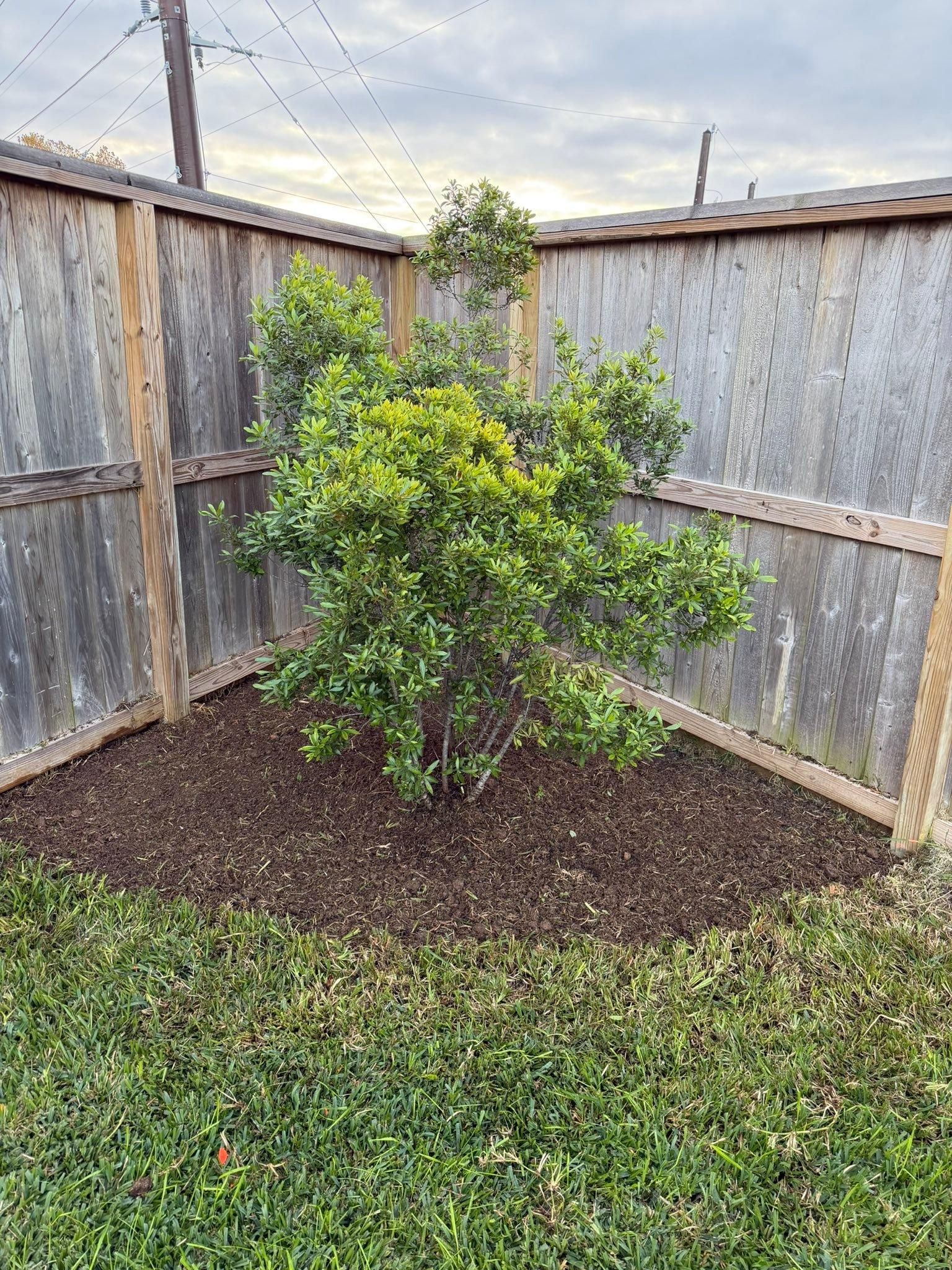  for Texas Curb N Borders in Houston, TX