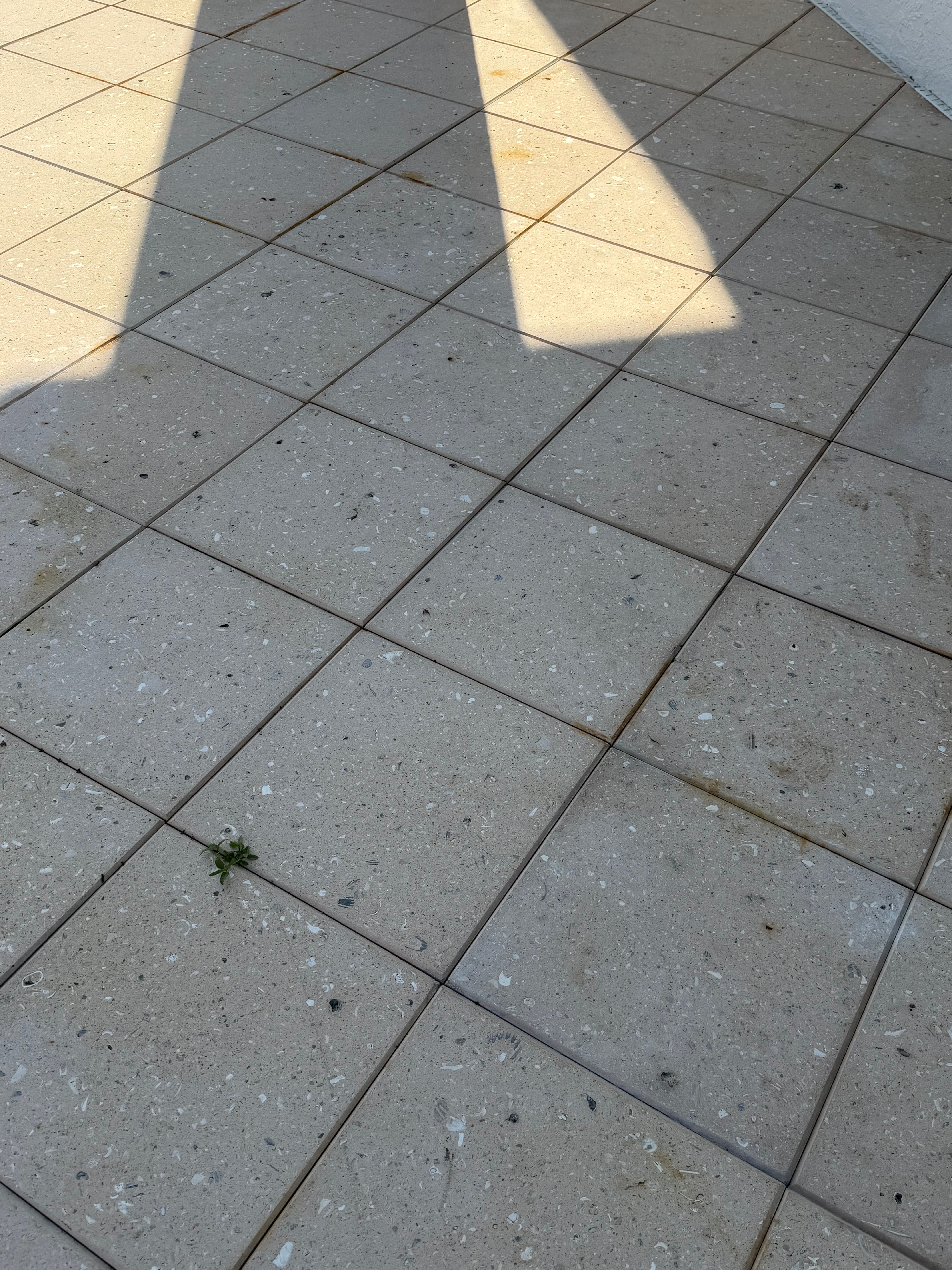  for My Soft Wash Guys in Venice, FL