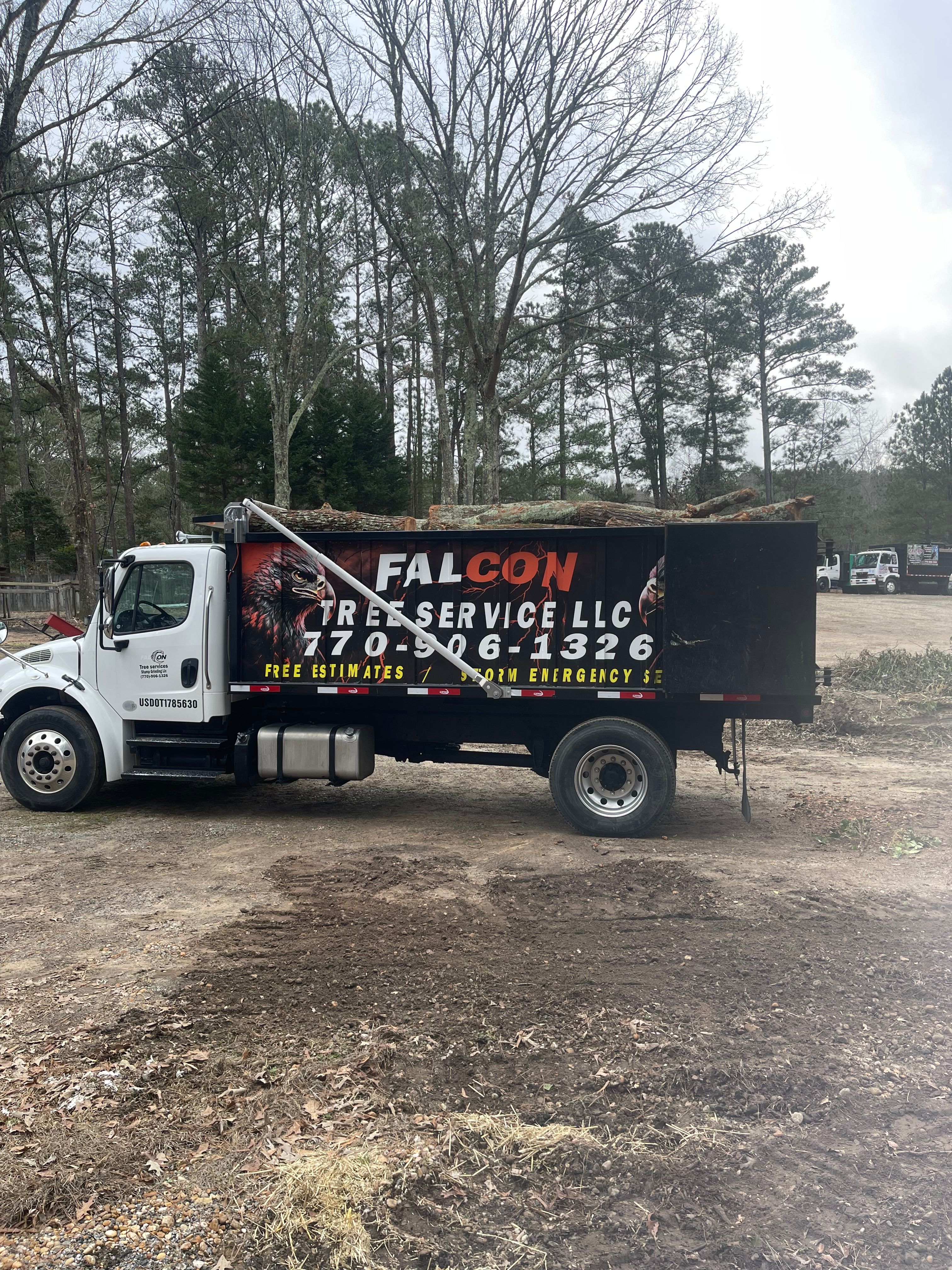  for Falcon stump grinding Tree services in Snellville, GA