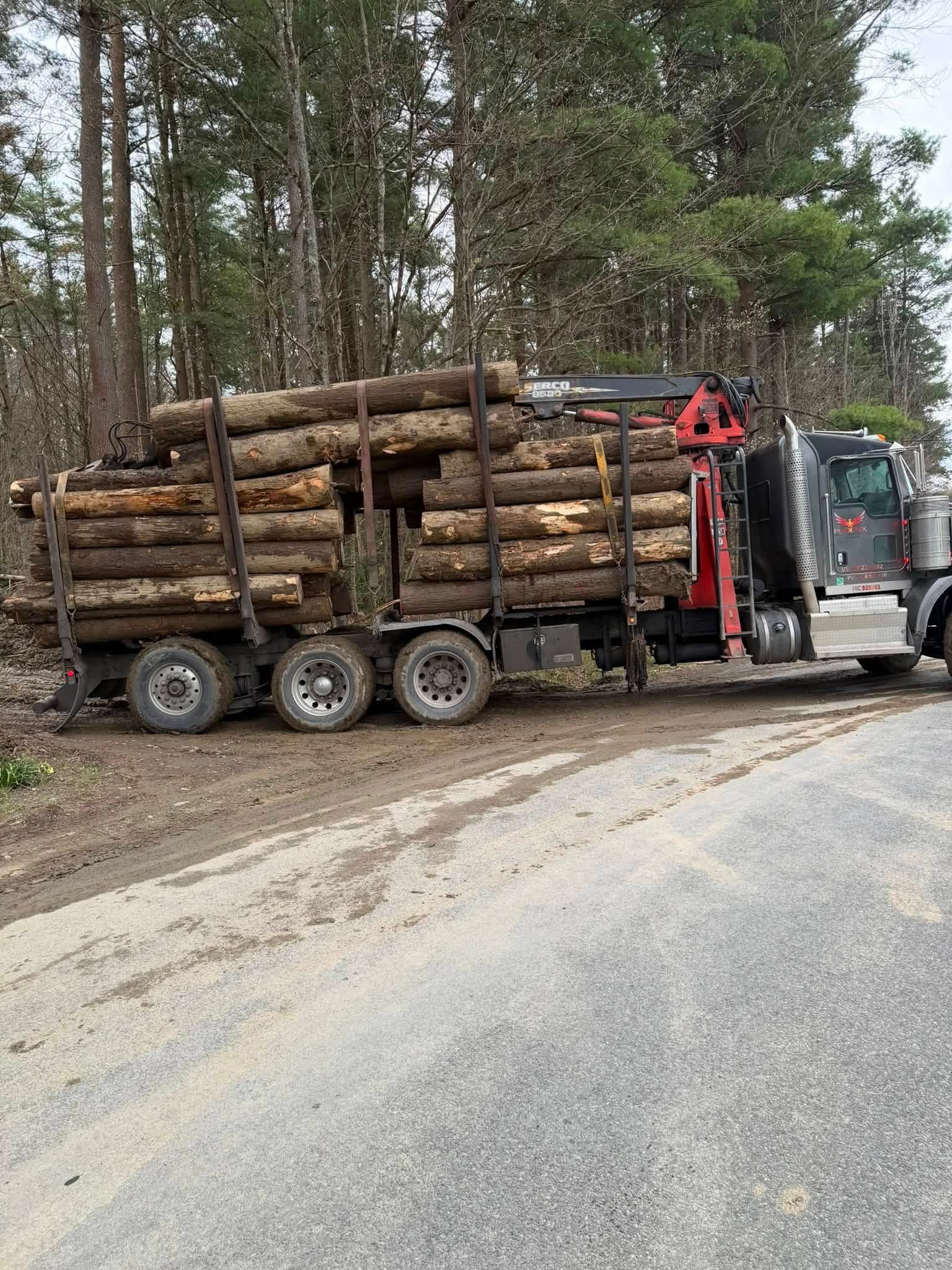  for Brax Forestry in Endicott, NY