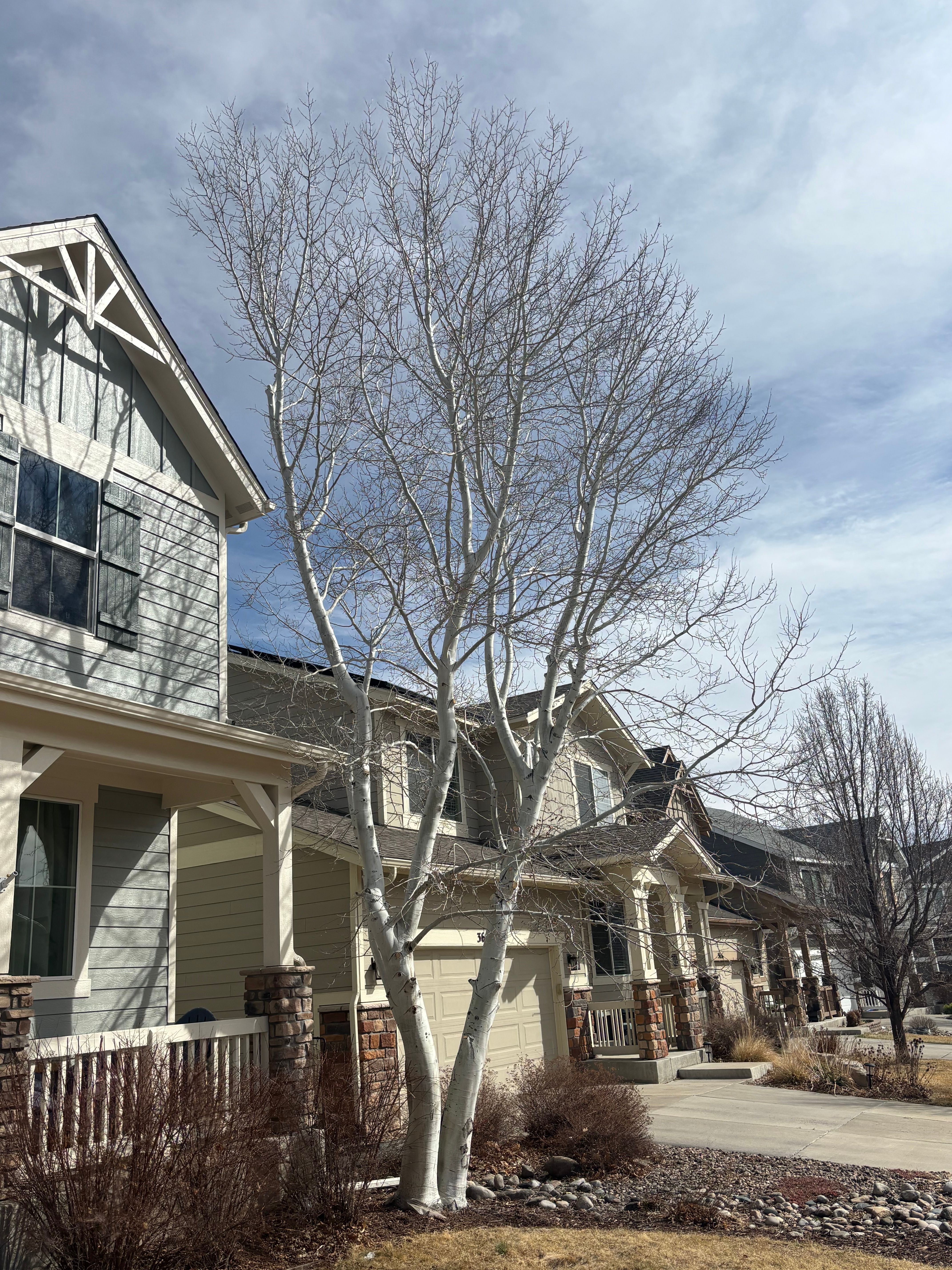 All Photos for Graham’s Tree Services in Pierce, CO