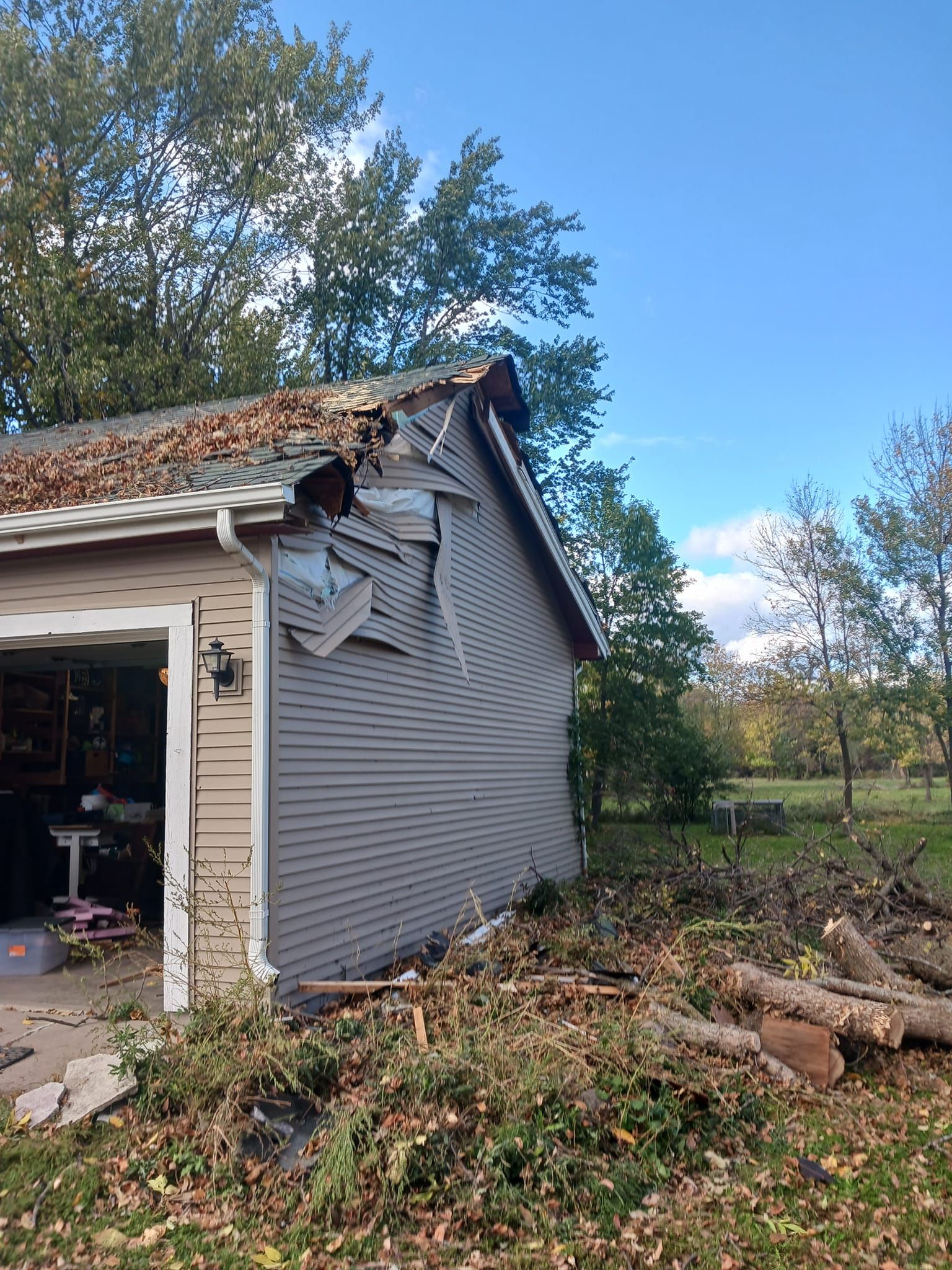 Tree Removal for Buffalo Family Tree Care in Buffalo, MN