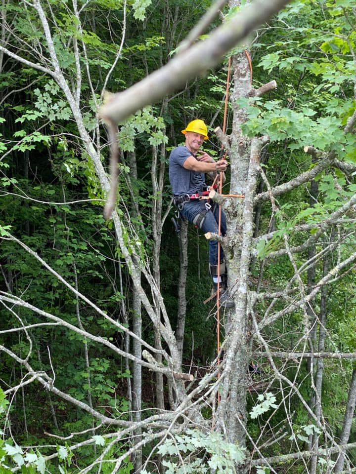  for Ground To Sky Tree Care in Asheville, North Carolina