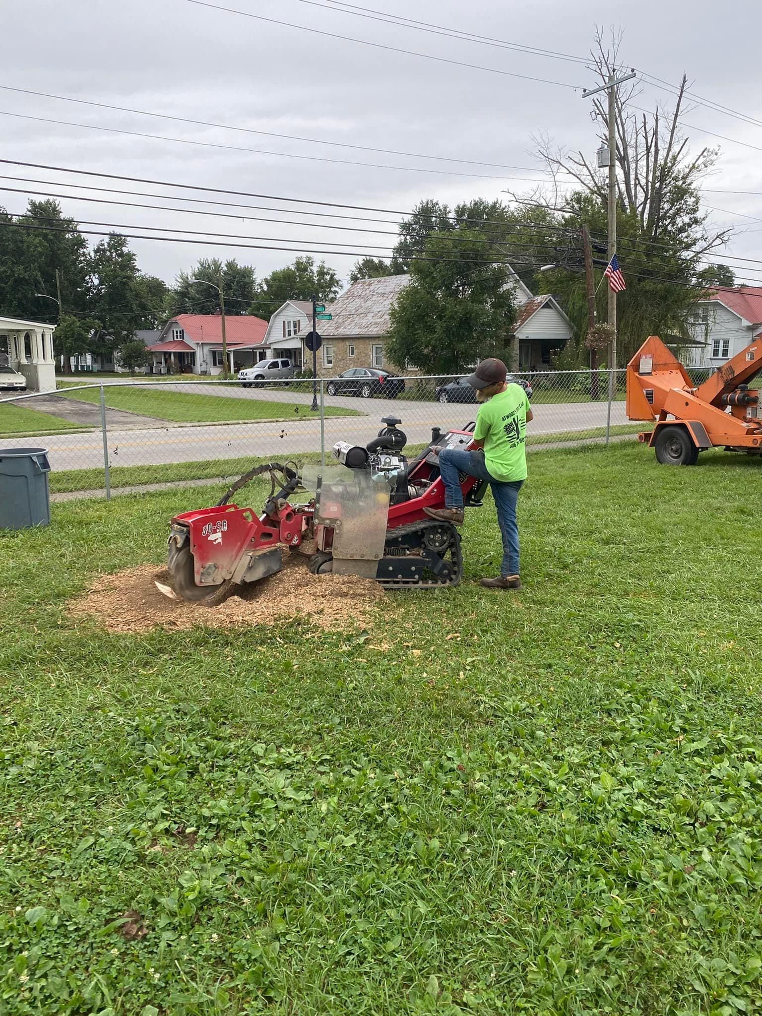 Fall and Spring Clean Up for Atwood’s Tree Care in Liberty,  KY