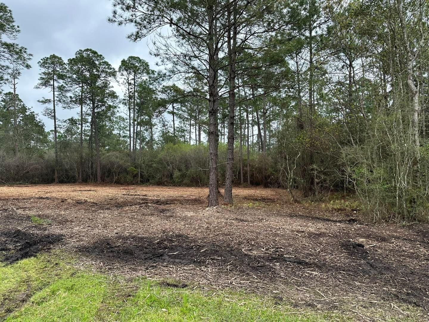 All Photos for White’s Land Maintenance in Milton,, FL