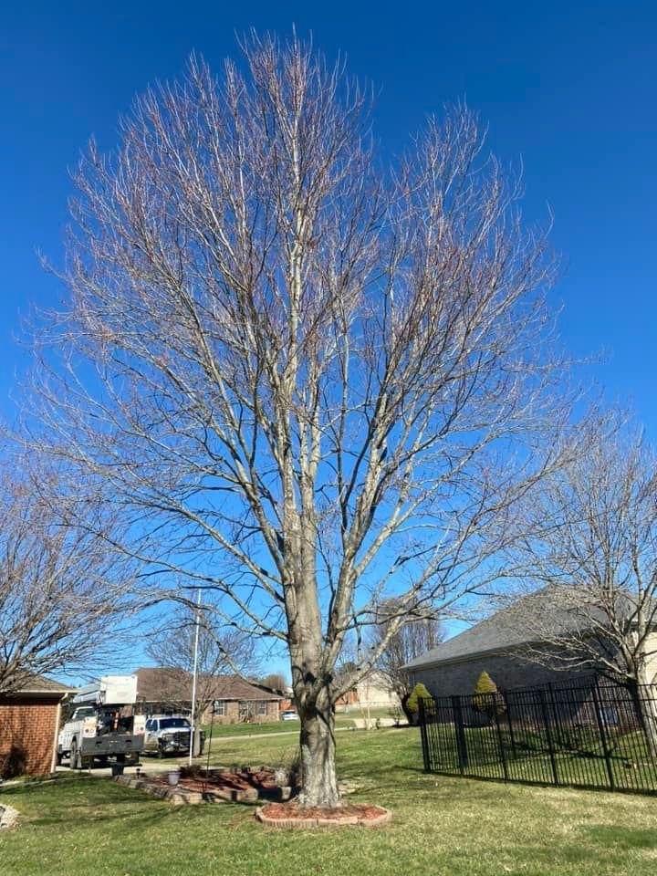 Fall and Spring Clean Up for Atwood’s Tree Care in Liberty,  KY