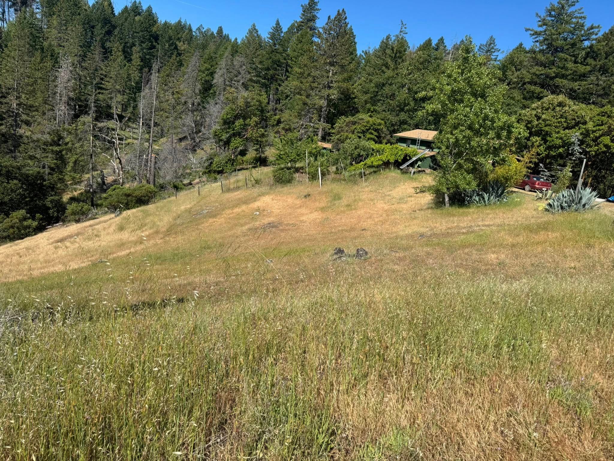 Fire Prevention for Stanisloo’s Landscaping and Services in Potter Valley, CA