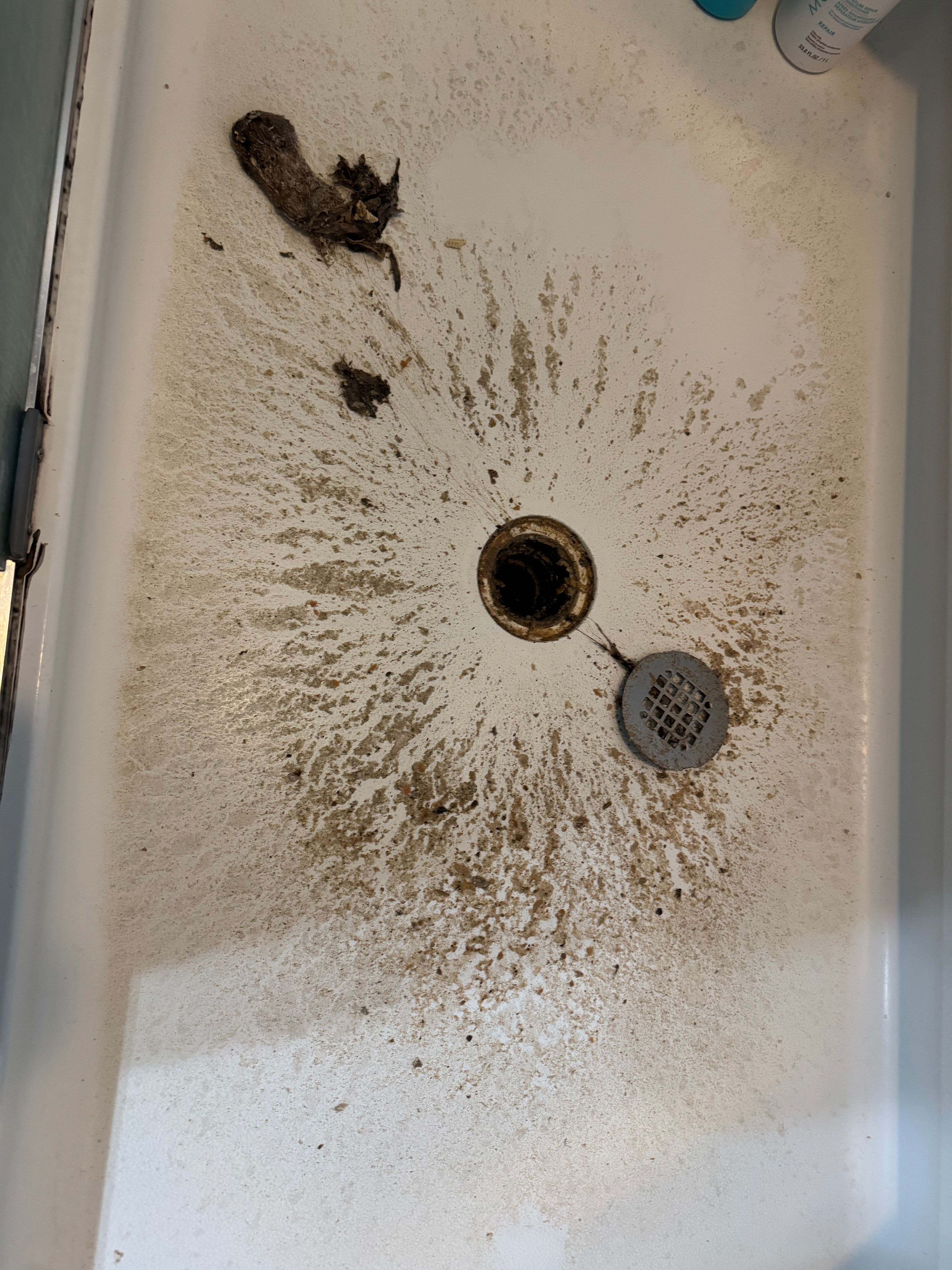  for Jersey Drain Masters in Williamstown, NJ