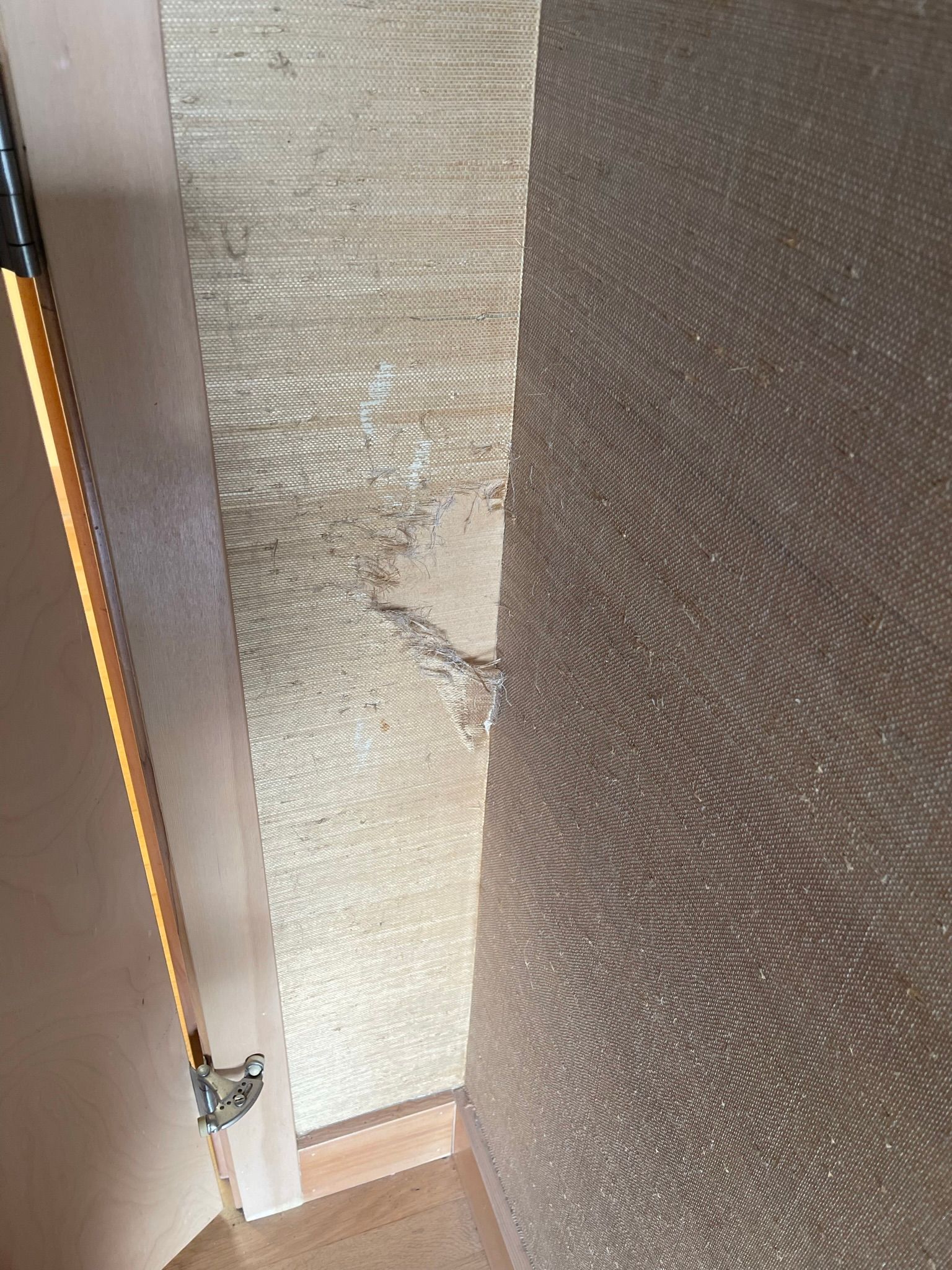  for Tony's Remodeling & Painting in Renton, WA