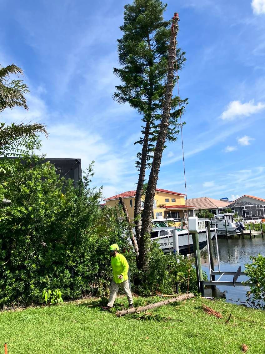Tree Removal for TREE BOYS in Ruskin, FL