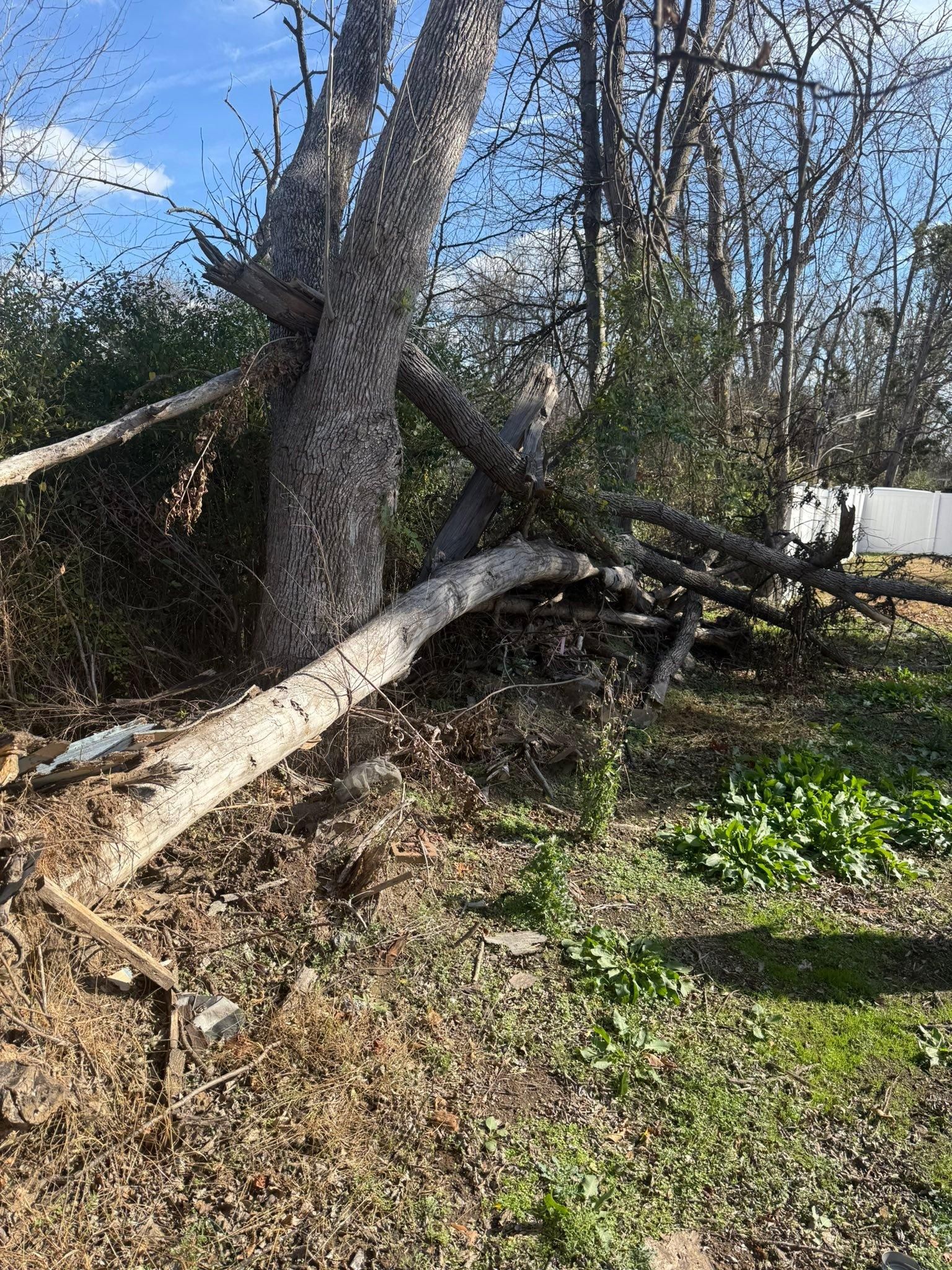  for Southern Pride Development in Blythewood, SC