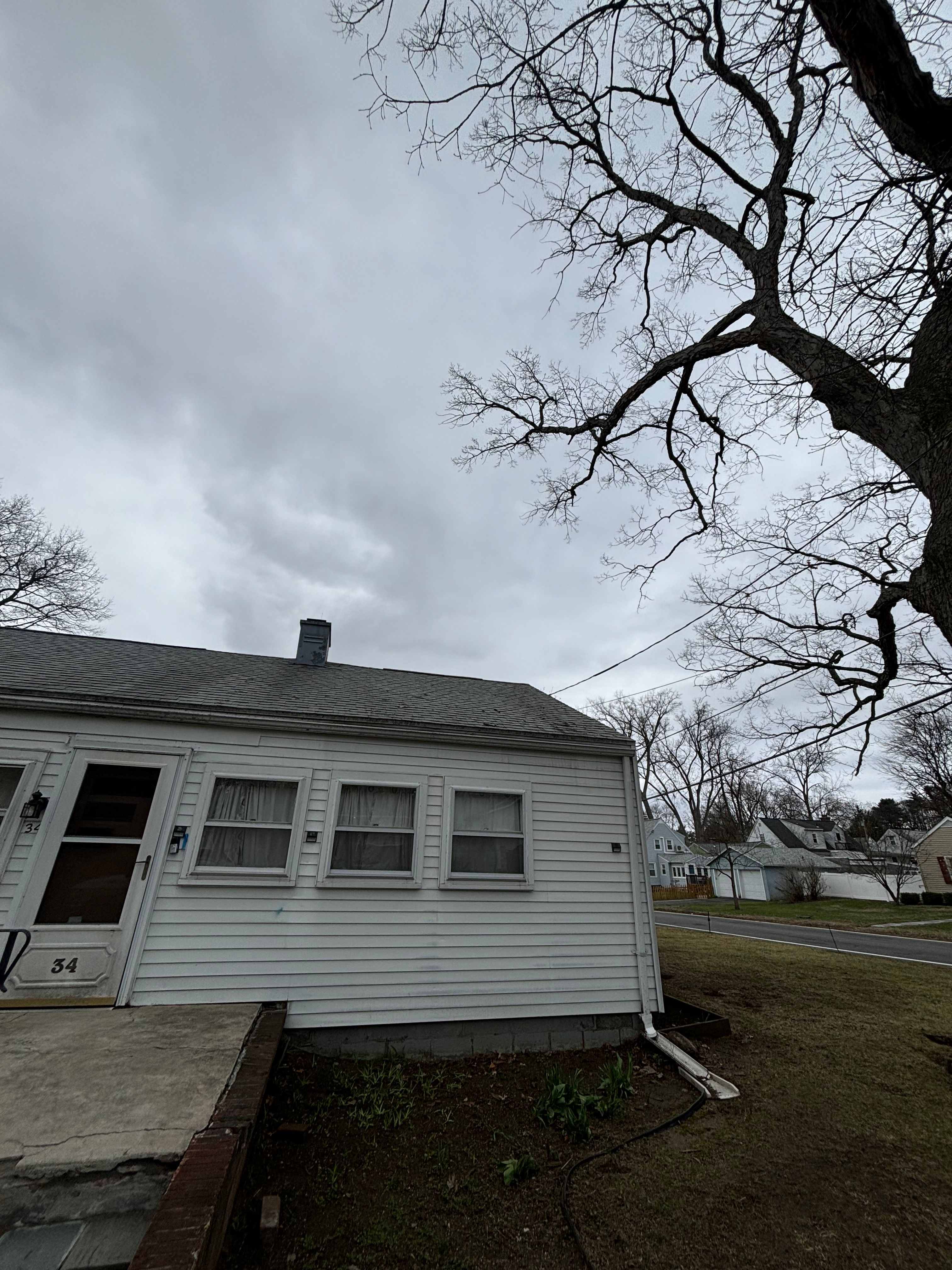  for T's Trees in Albany, NY