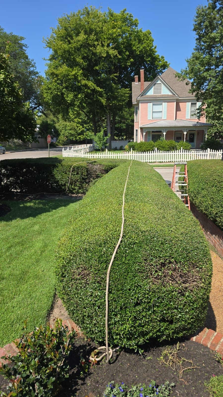  for Sanchez Z. Landscaping in Memphis, TN