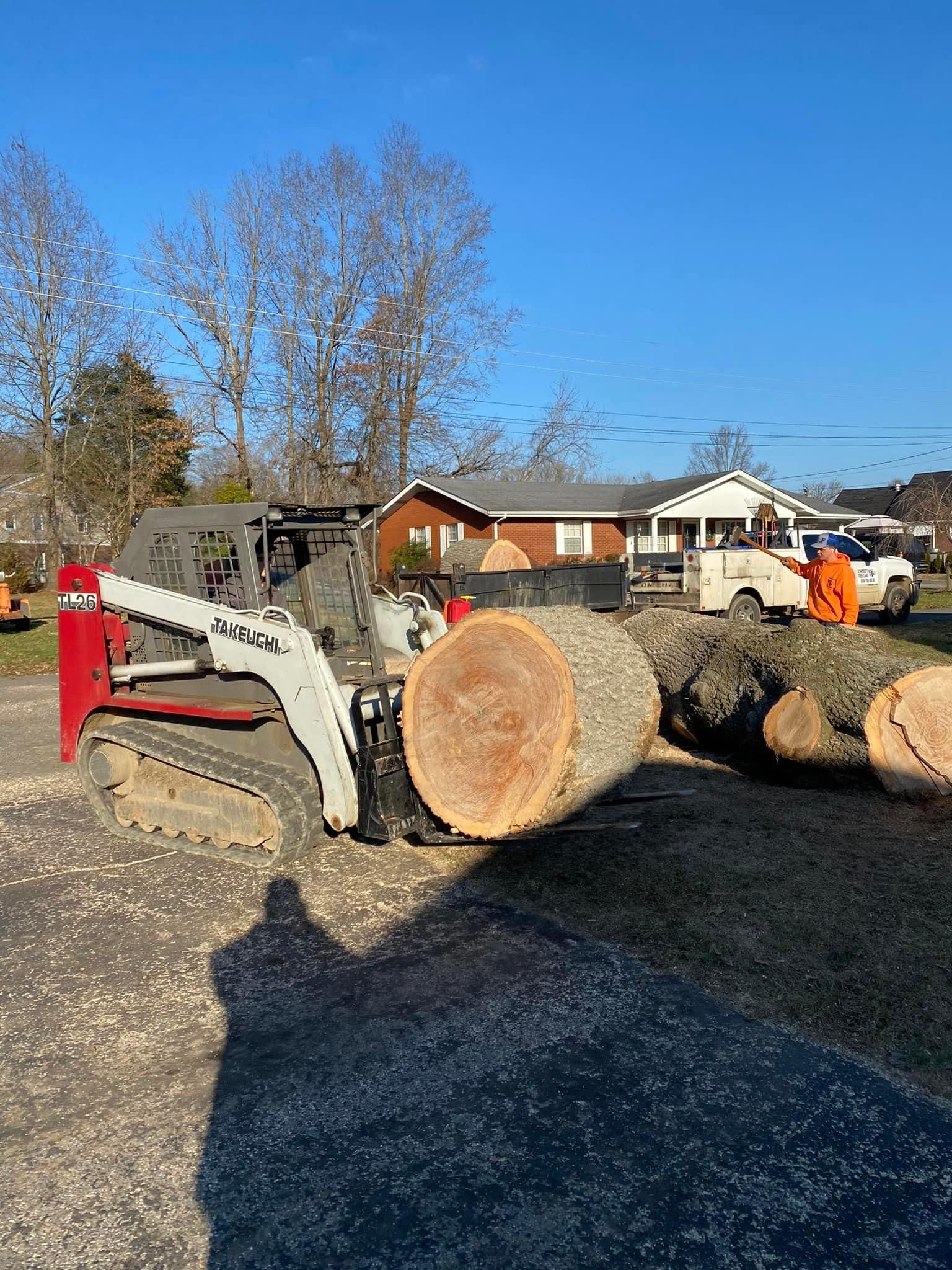 All Photos for Atwood’s Tree Care in Liberty,  KY